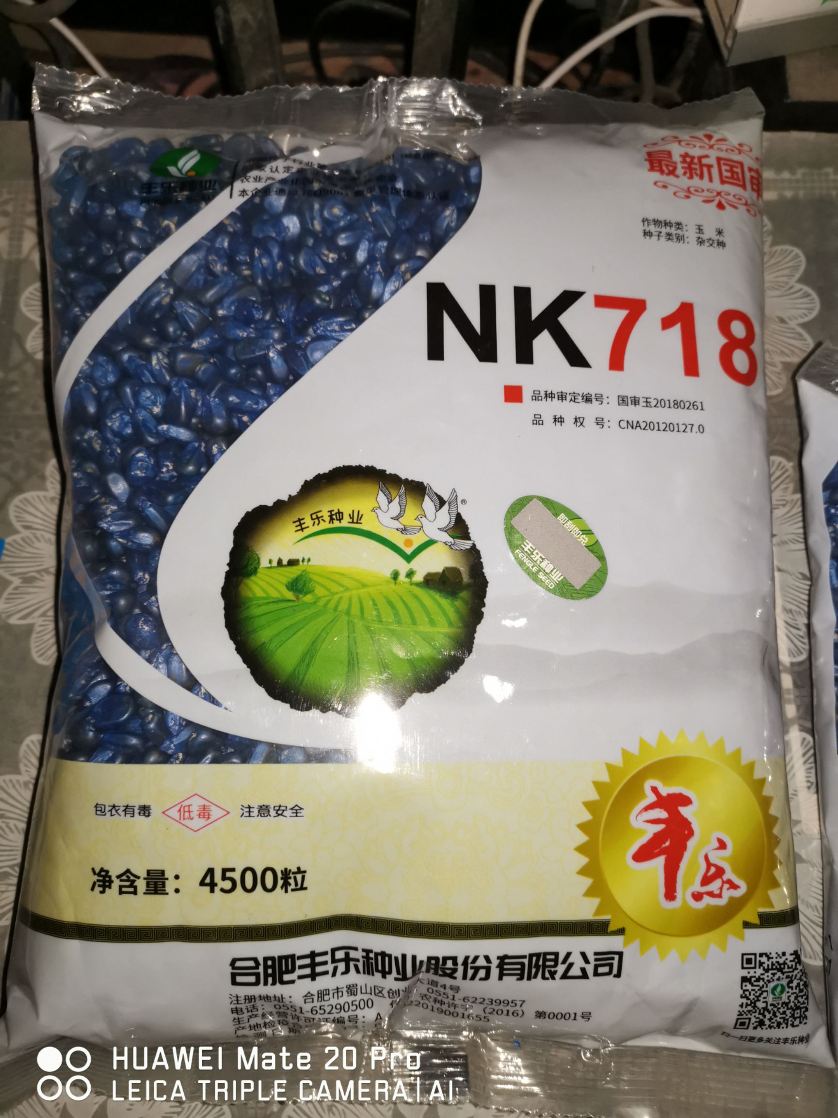 玉米种子 丰乐nk718高产玉米种