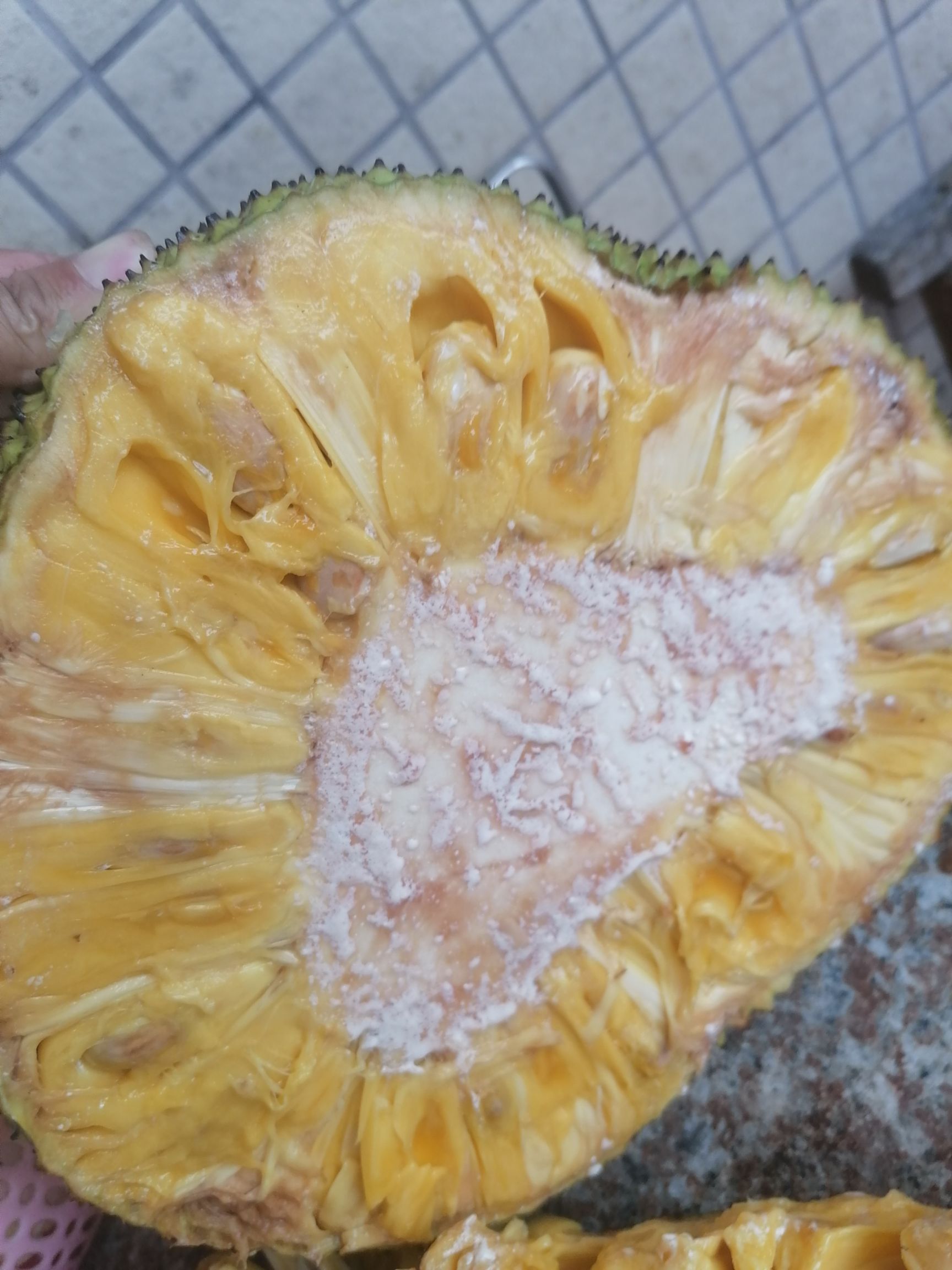 正宗家乡特产菠萝蜜黄肉的湿包菠萝蜜又香又甜滑溜溜的口感完美