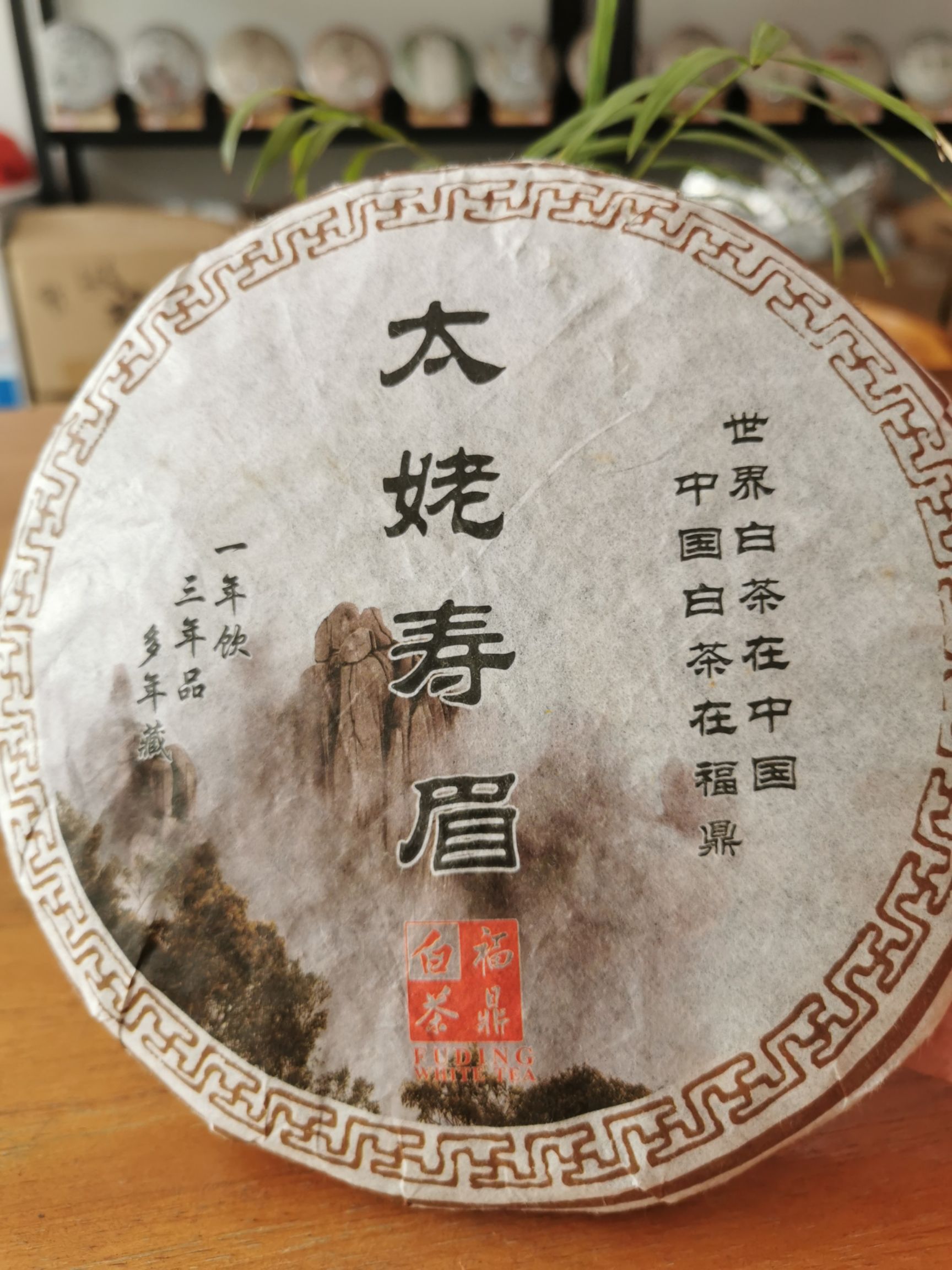 2015福鼎白茶太姥寿眉老白茶厂家直供 350g/饼