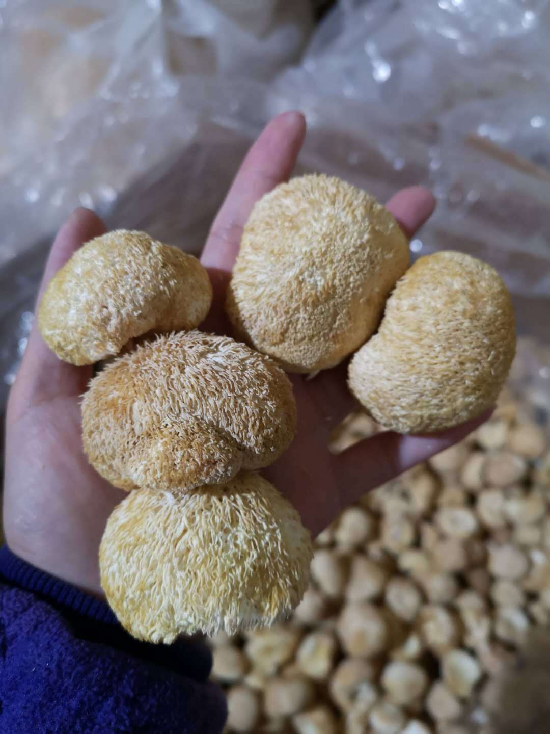 我们做的是正经买卖,卖的是人情,做的是专业,赢的是信任,要的是回头客