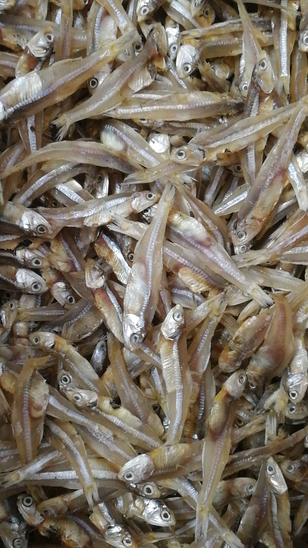 周崇云