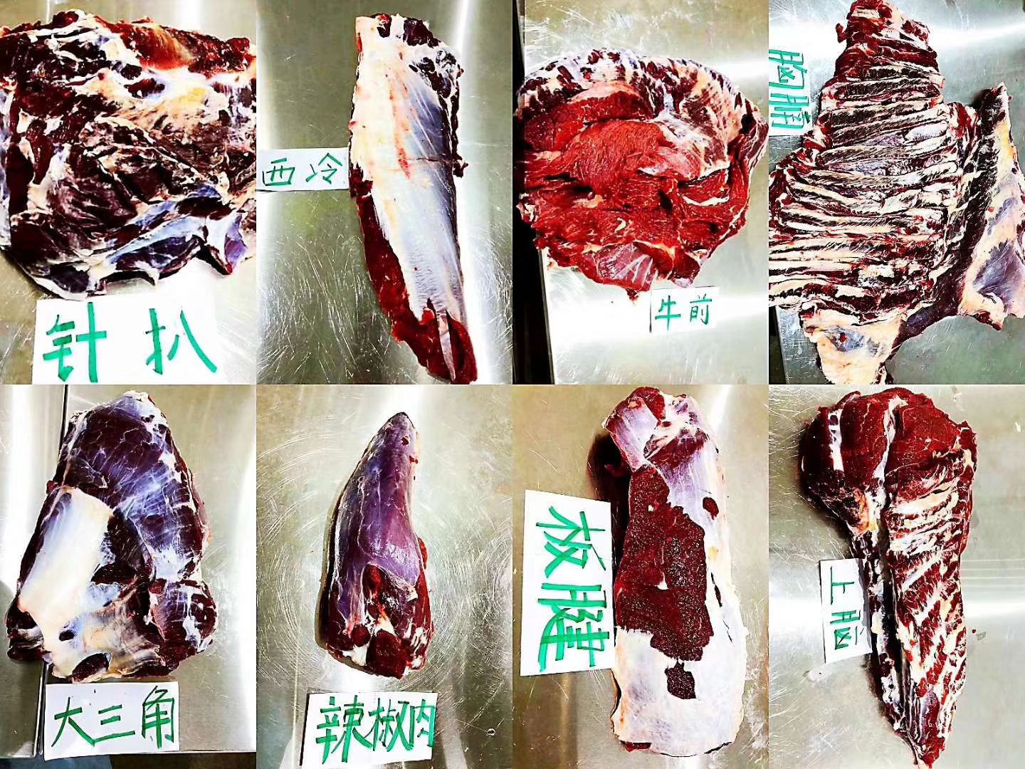 四分体牛肉 乌克兰本厂去骨全牛