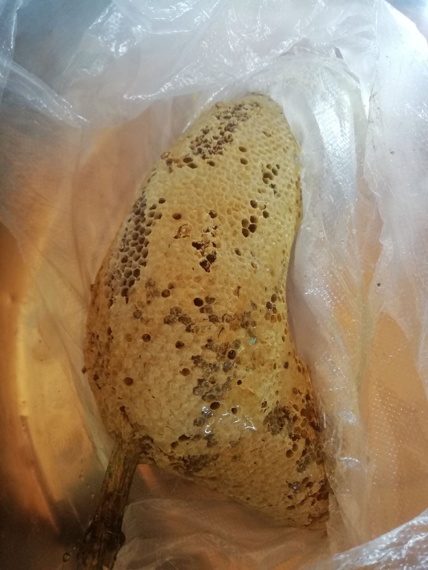 产自云南大山的小挂蜜是大自然的馈赠