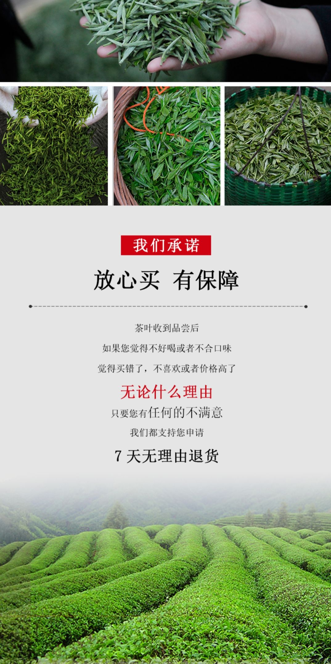 峨眉山竹叶青(静心)高山绿茶/茗茶