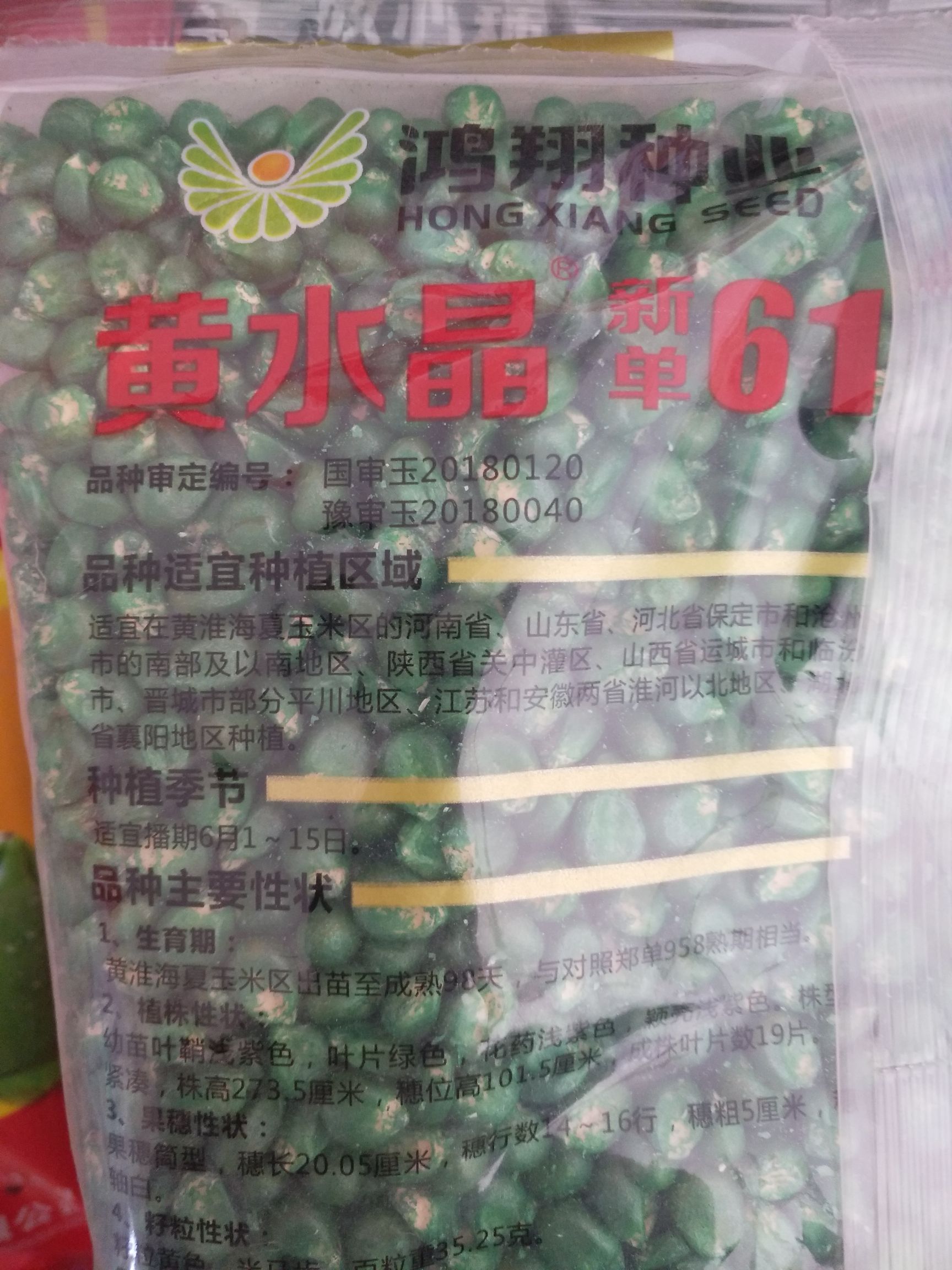 玉米种子 国审高品质玉米种新单61