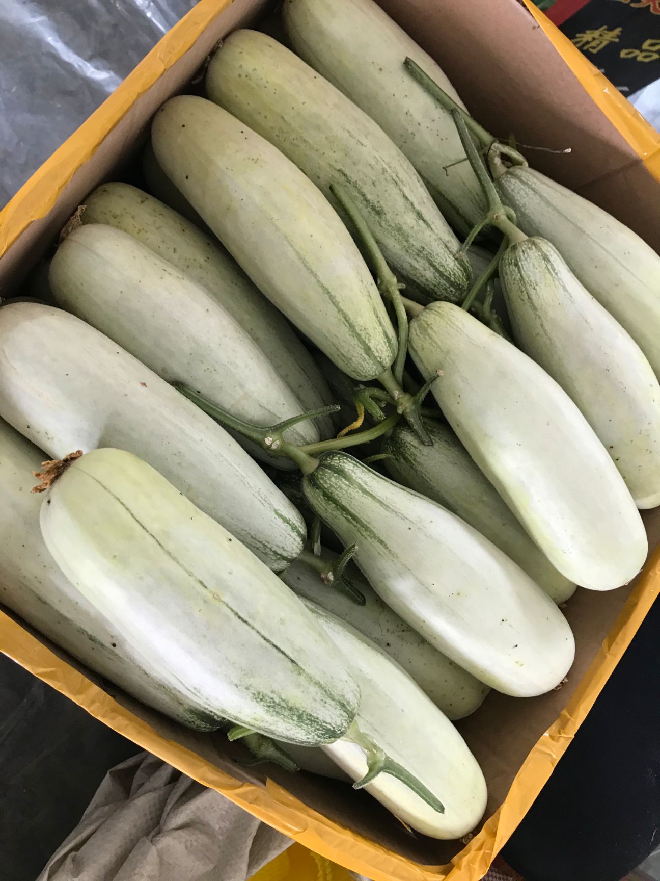 莘县甜瓜 羊角蜜