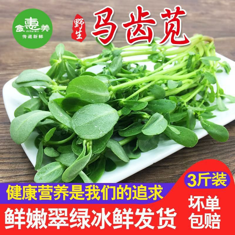 马齿苋菜新鲜马苋菜马齿苋长寿菜菜马蜂菜2斤3斤4斤装