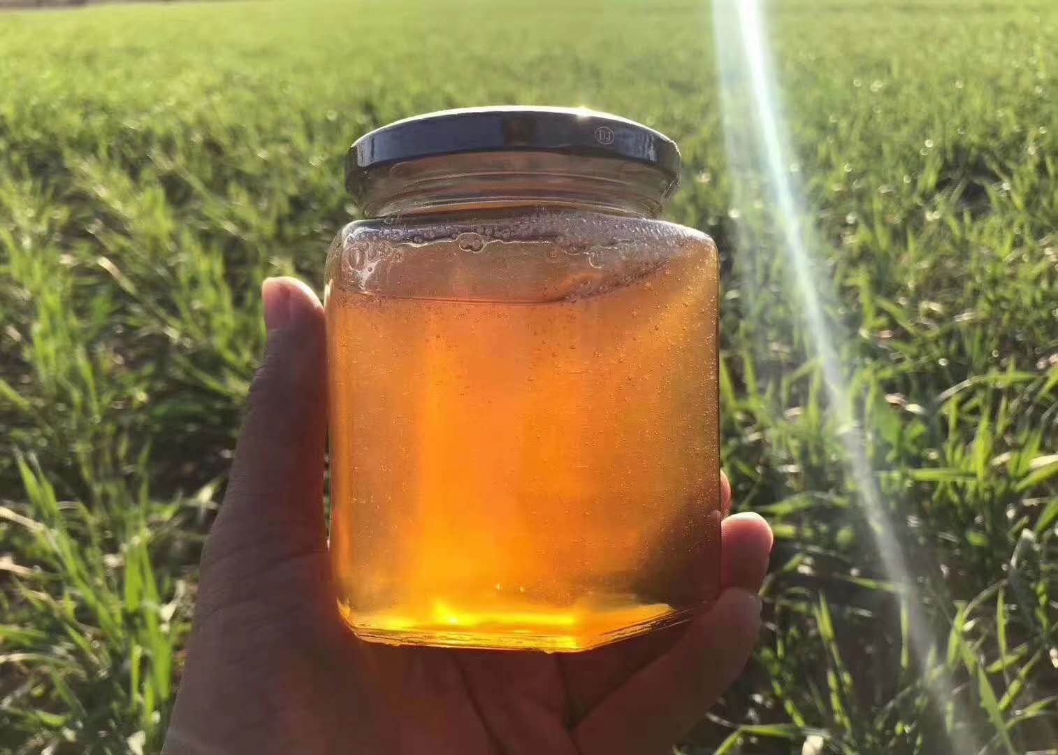 土蜂蜜 纯正冬蜜,高州荔枝蜜