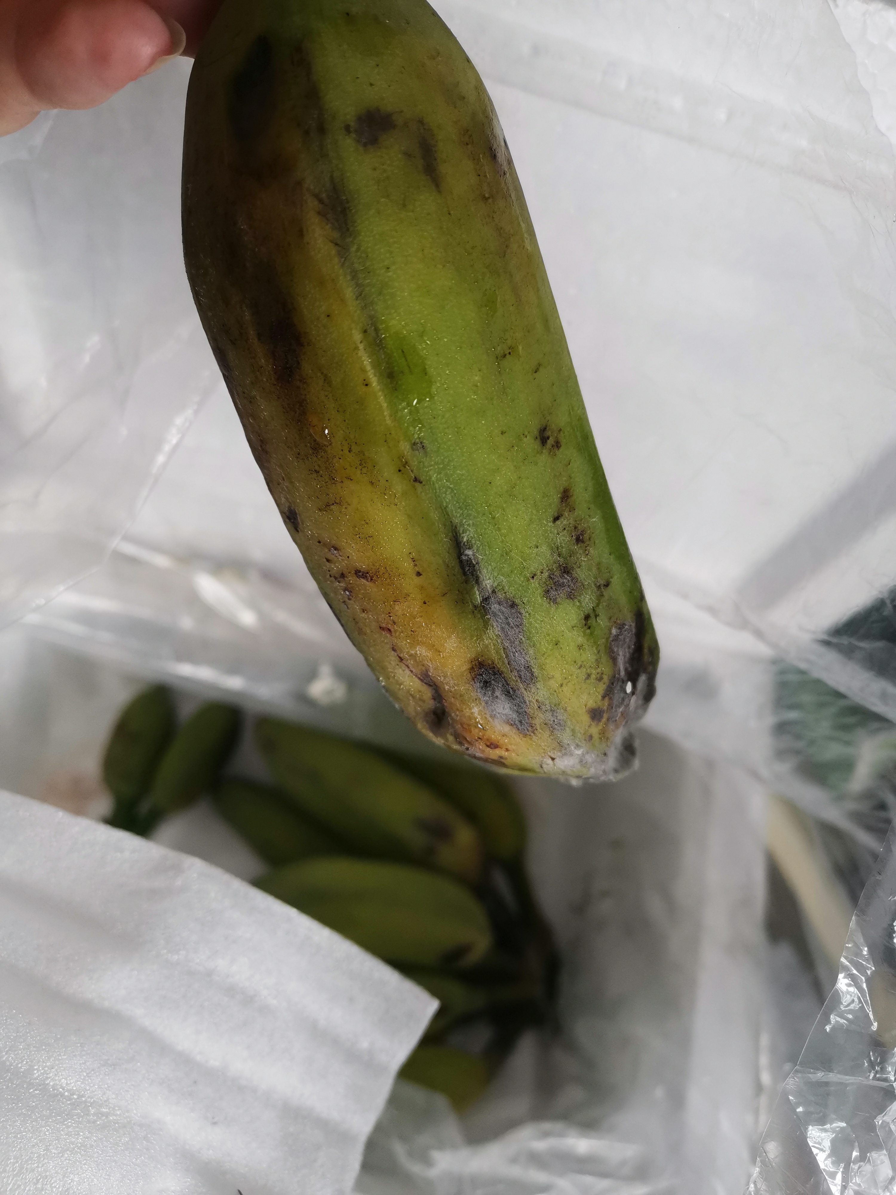 广西小米蕉新鲜香蕉当季水果小芭蕉苹果蕉粉蕉现摘现发孕妇水果