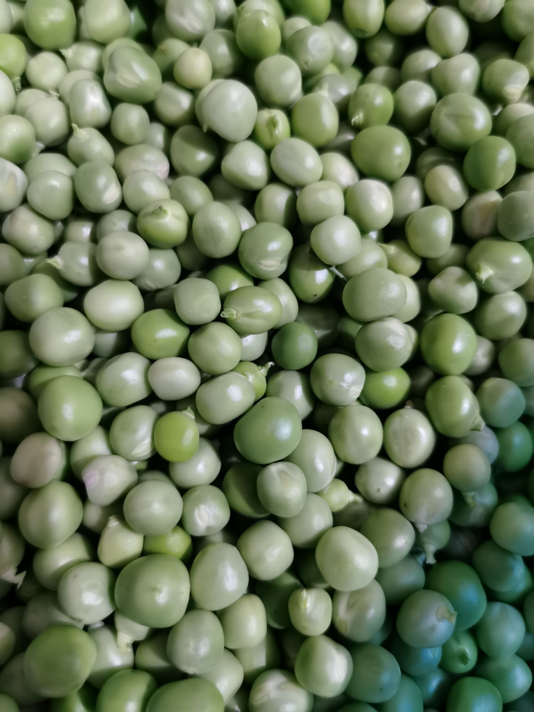 颜颜手工豌豆仁 豌豆粒 豌豆米 拍前联系 品质保证 拍前联