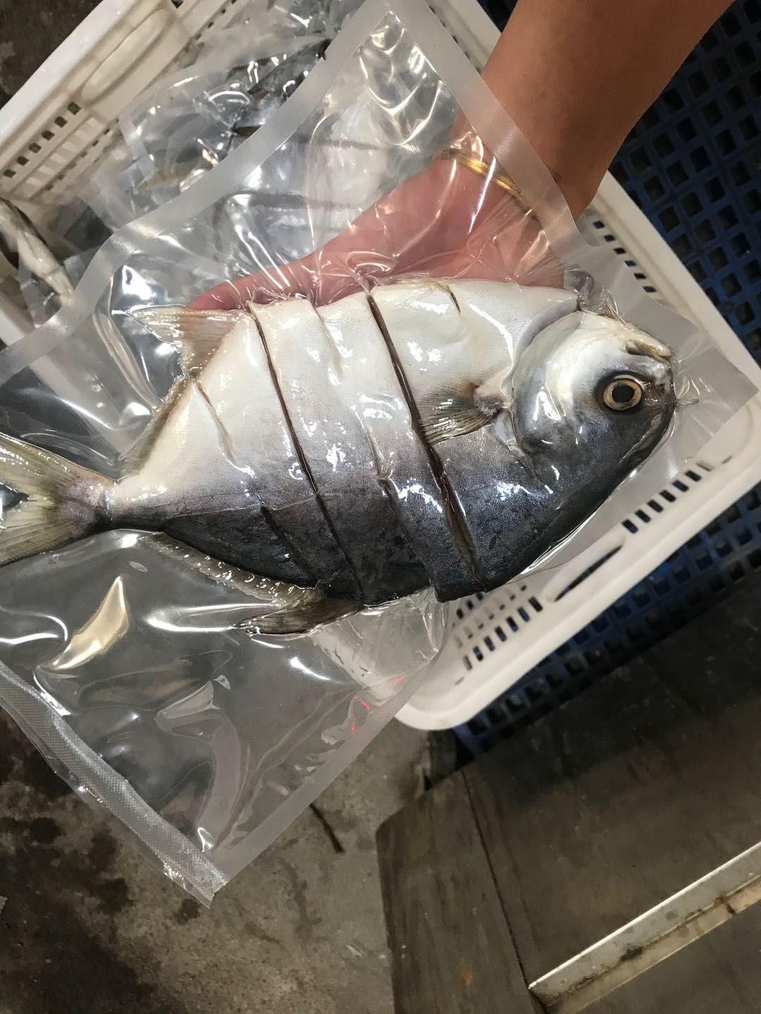 金鲳鱼干,每袋400克,真空包装,冷库顺丰冷链发货