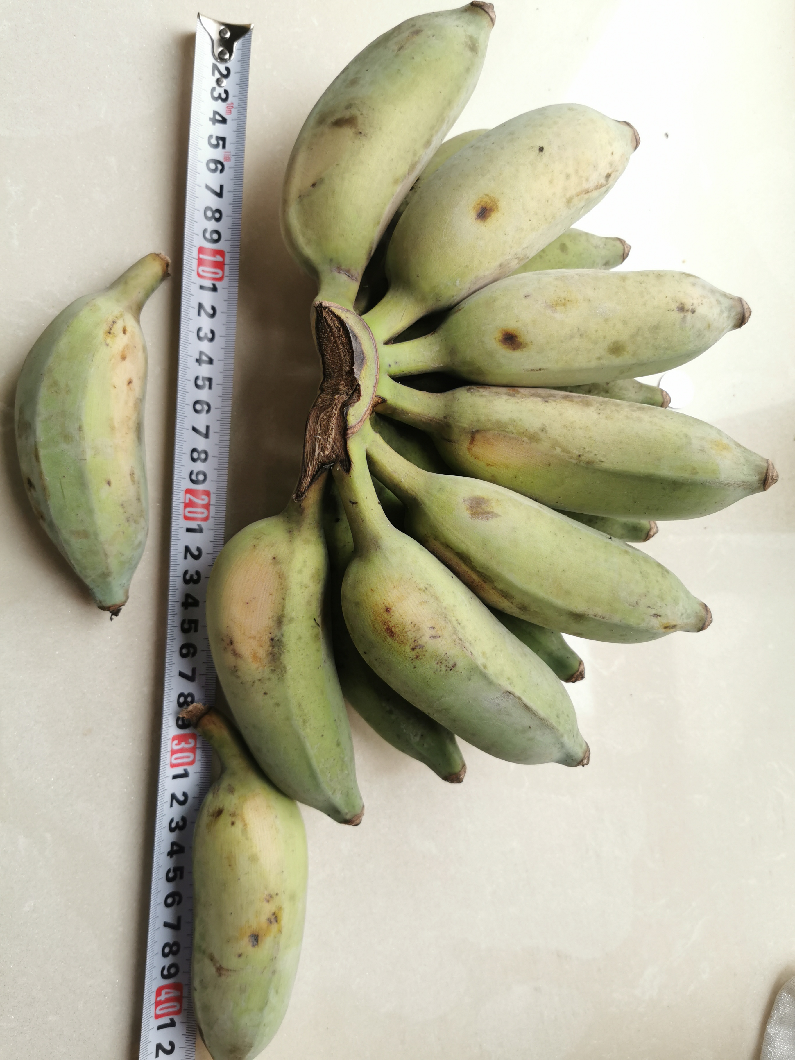 新鲜芭蕉粉蕉西贡蕉,产地直发,特级大果.