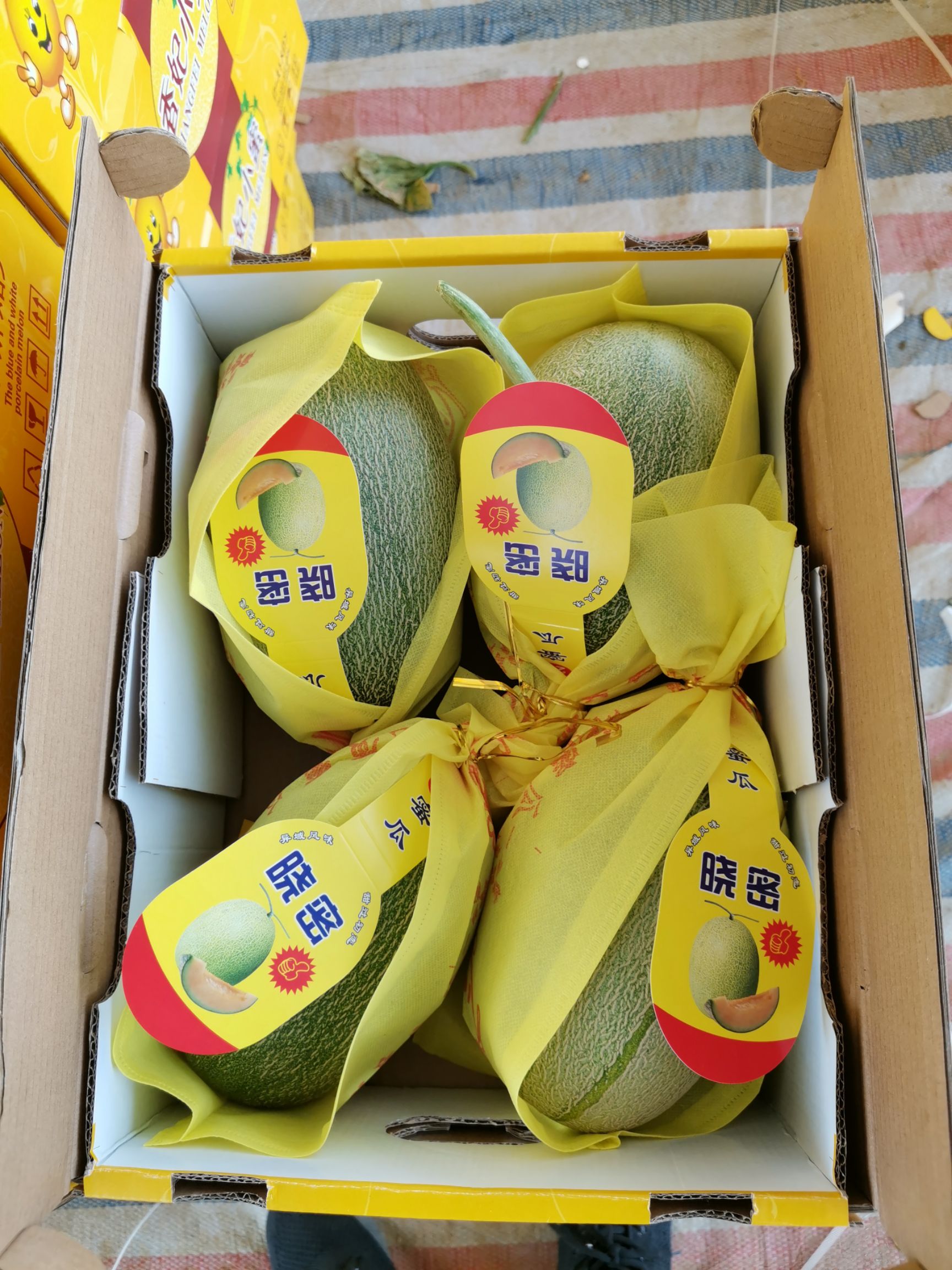 哈密瓜 西州蜜,晓蜜25网纹甜瓜货量充足,价格便宜了.