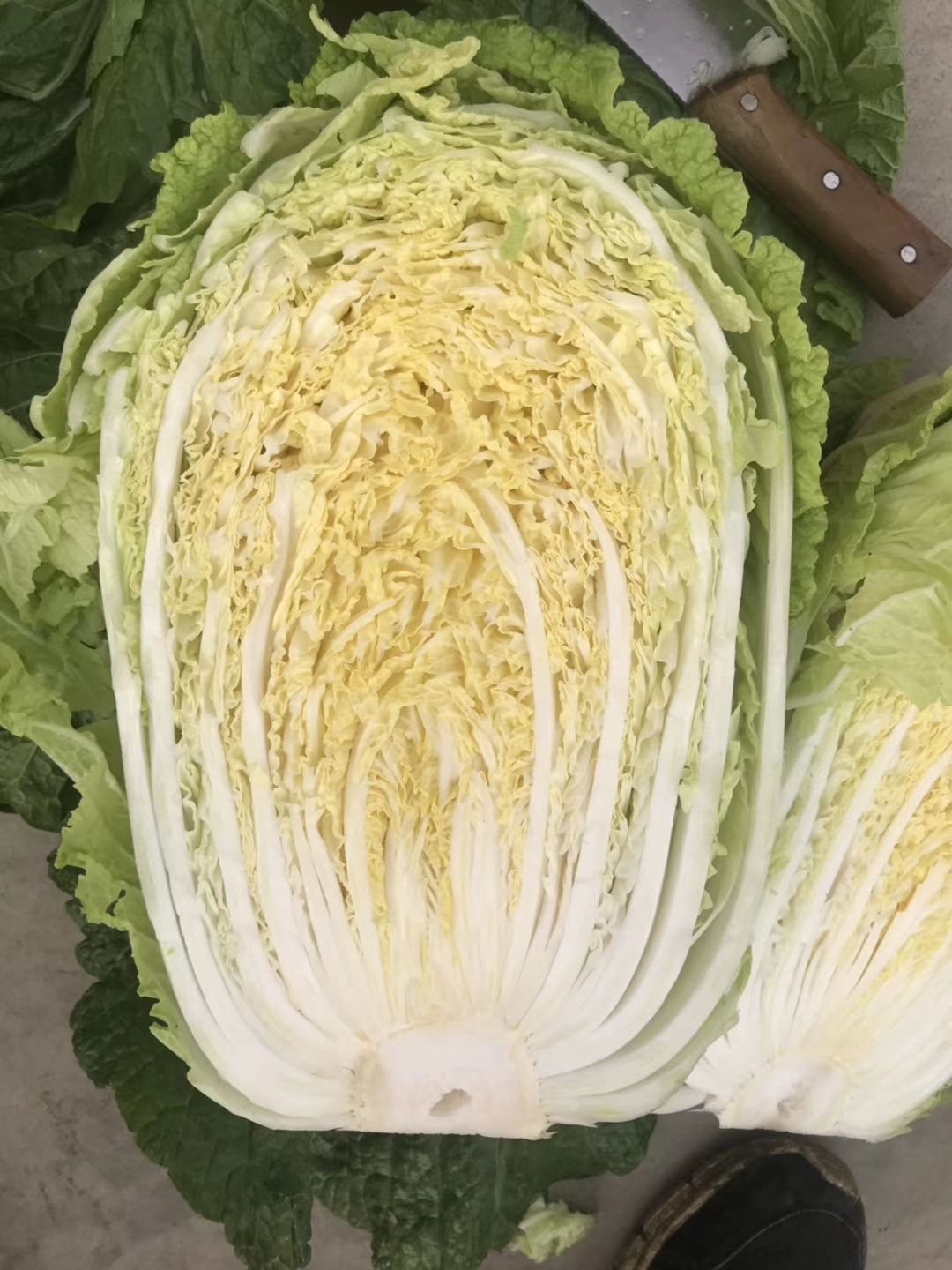 黄心大白菜 净菜,带两片保护叶,无虫眼,四五六斤