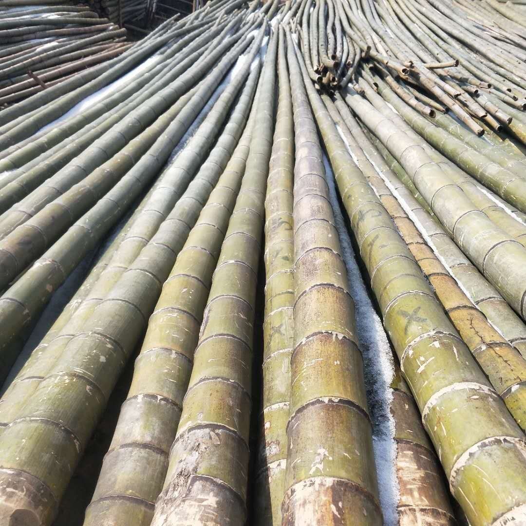 产地直销精品毛竹楠竹高压线搭架竹竿建筑防护措施毛竹物美价廉