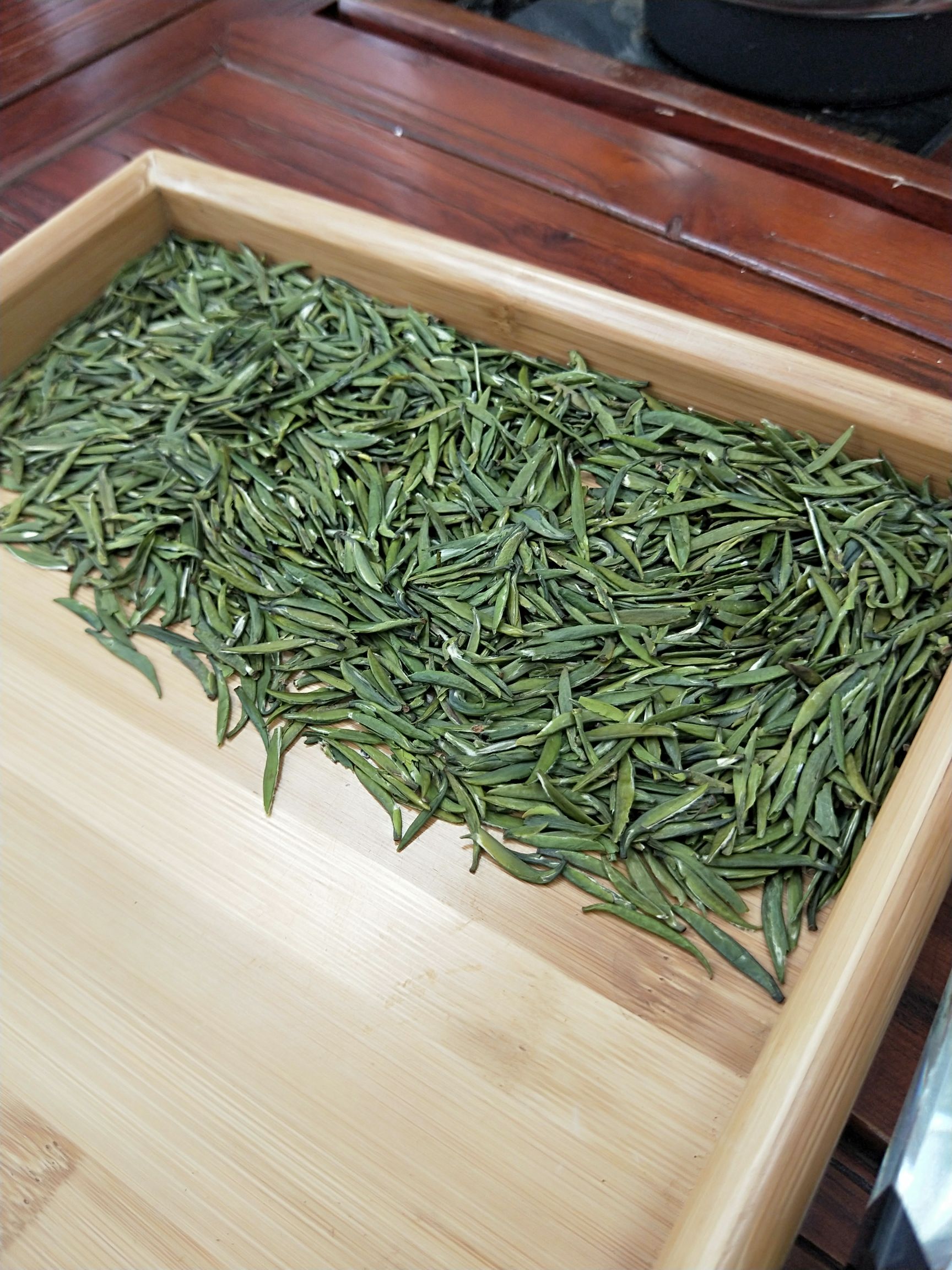 雀舌 竹叶青