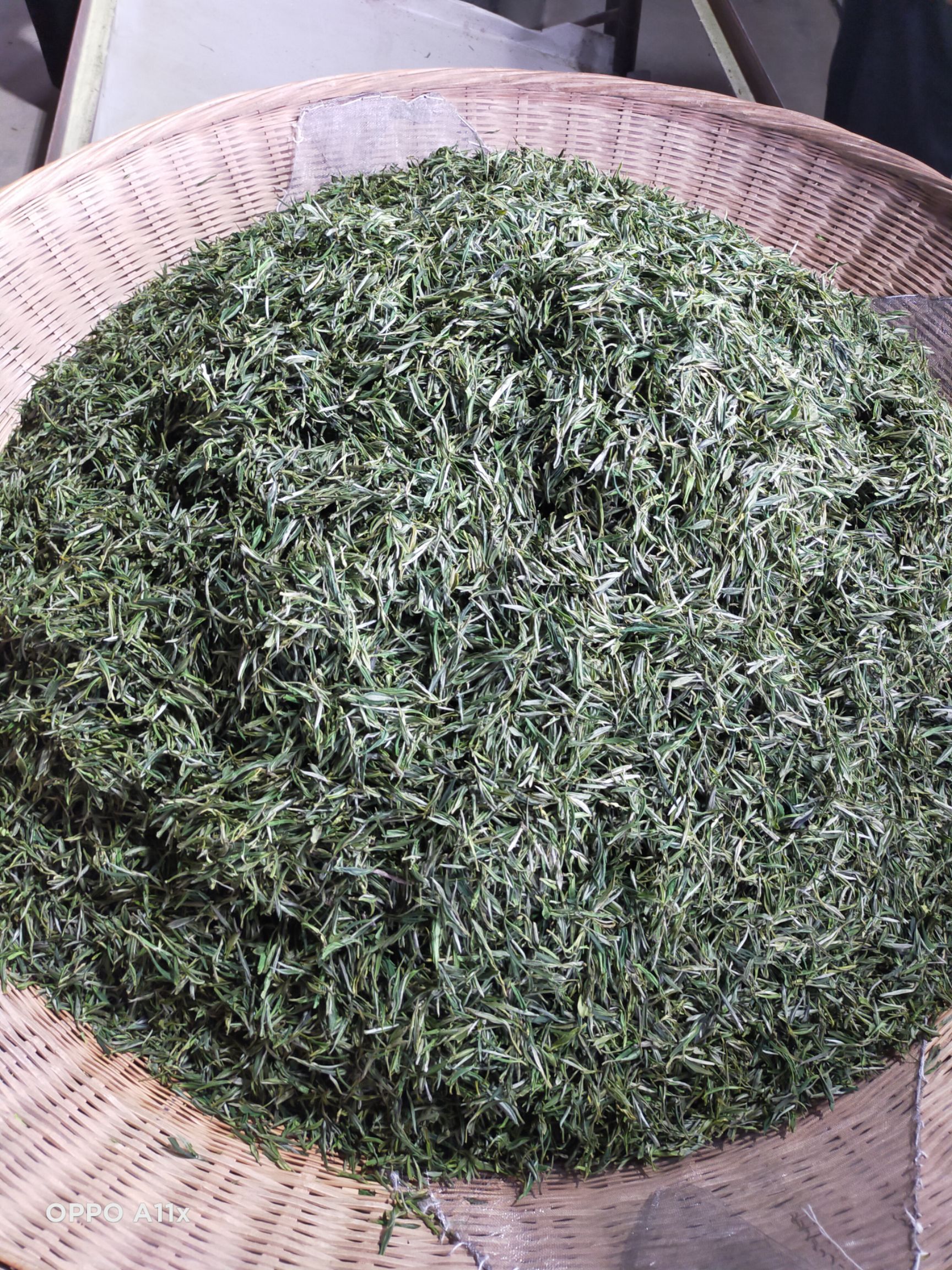 霍山黄芽,霍山黄茶,明前茶,谷雨前茶,高山茶