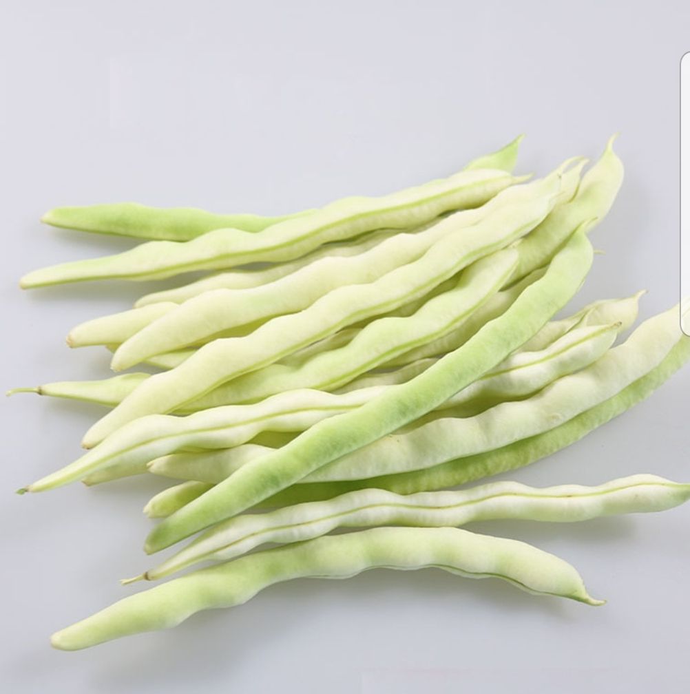 精品四季豆,长期供应应季蔬菜