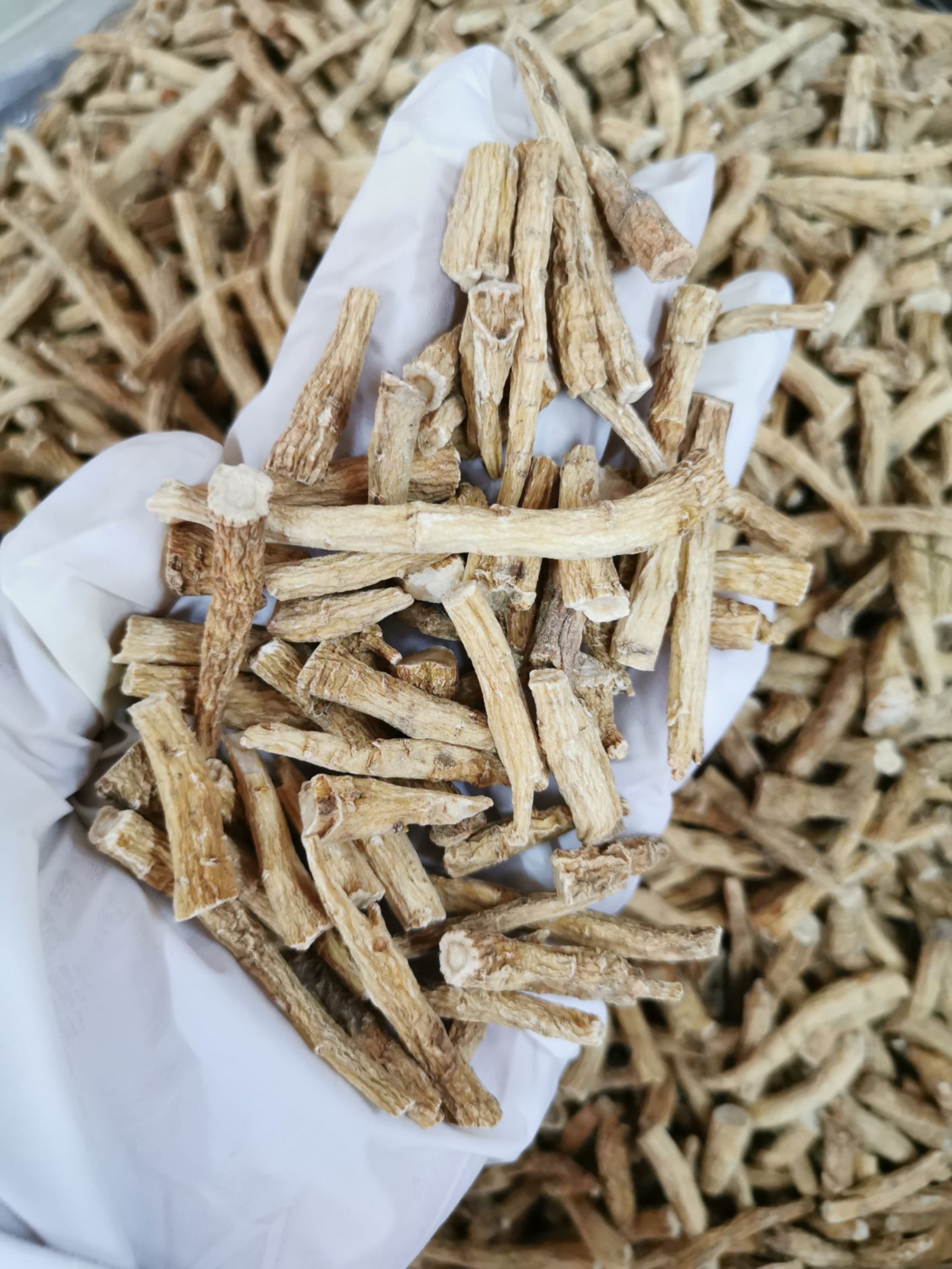 供应大厅  中药材  西洋参   商品属性 品种名:进口西洋参 品种名