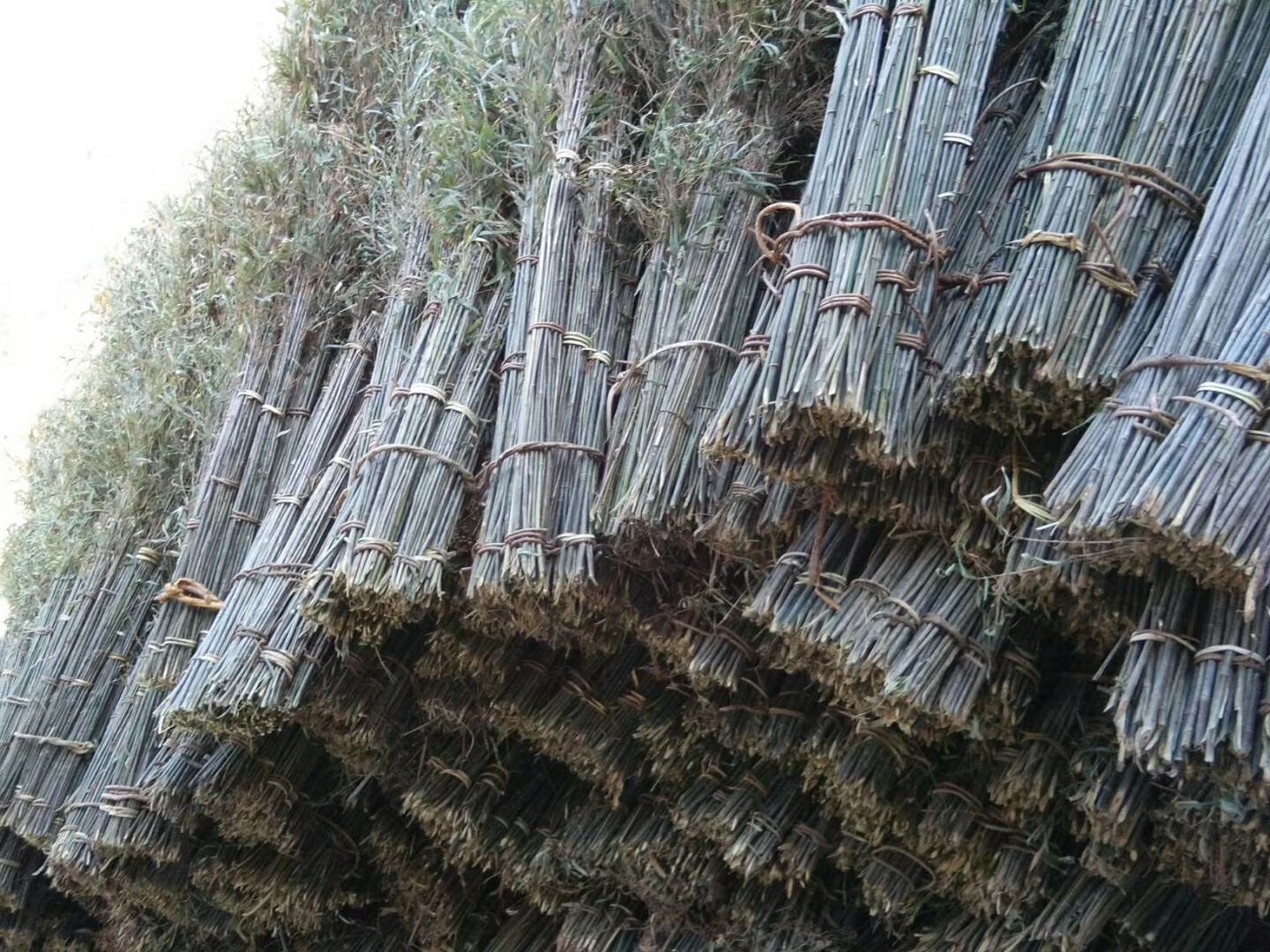竹扫把 加工原料 各种规格 可订做加工
