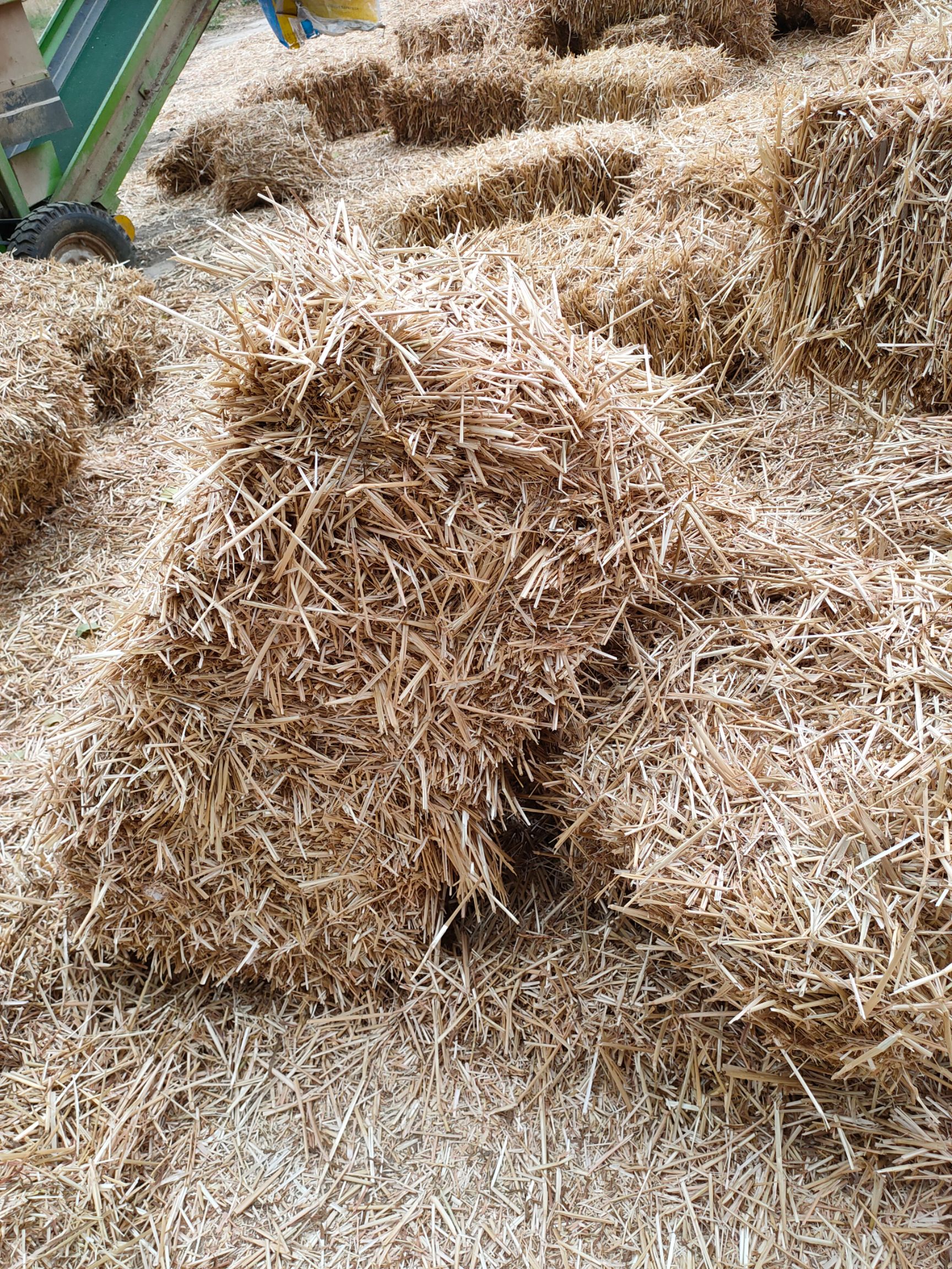 干草大量出售优质小麦秸秆马牛羊草料
