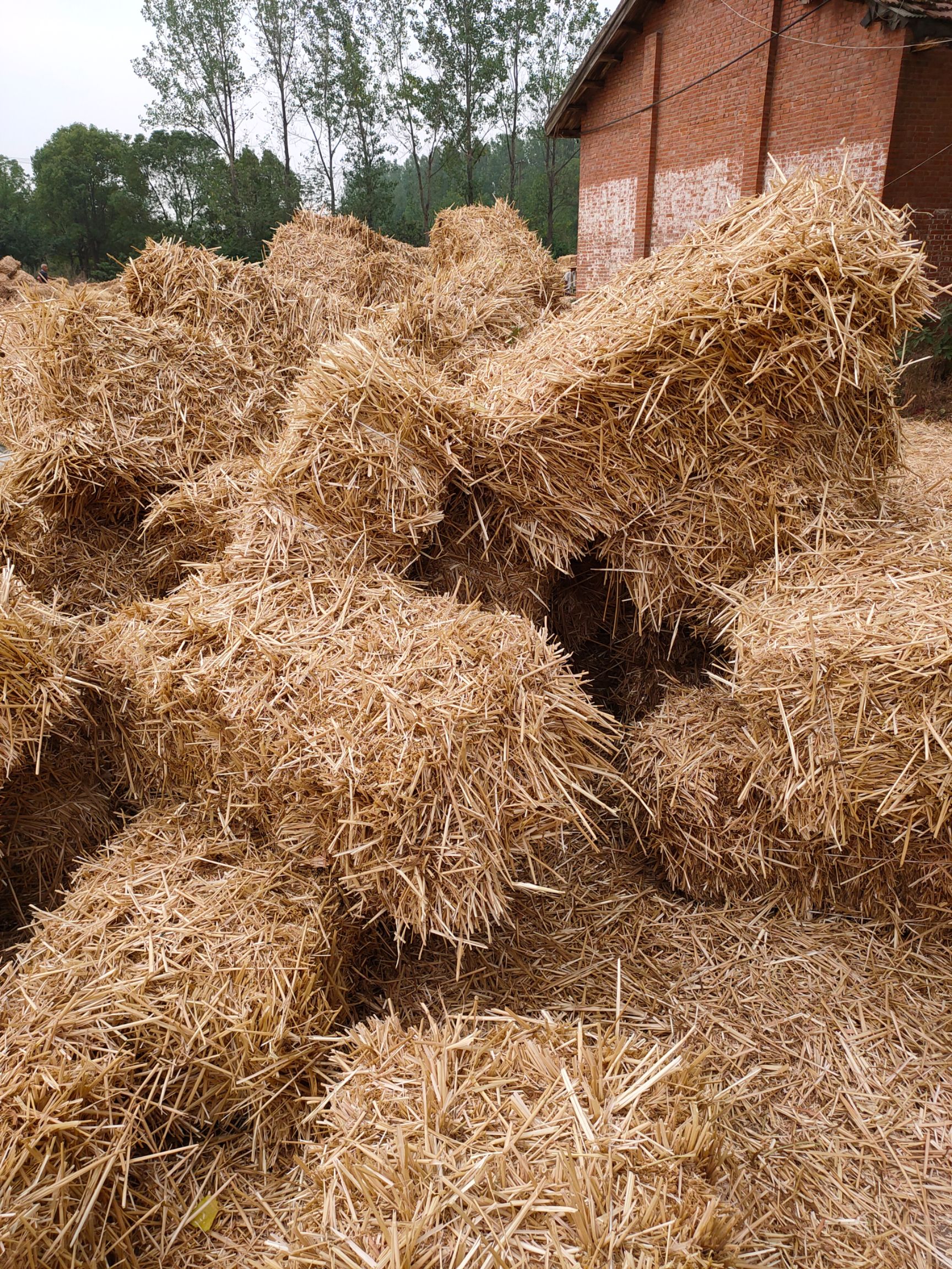 干草大量出售优质小麦秸秆马牛羊草料