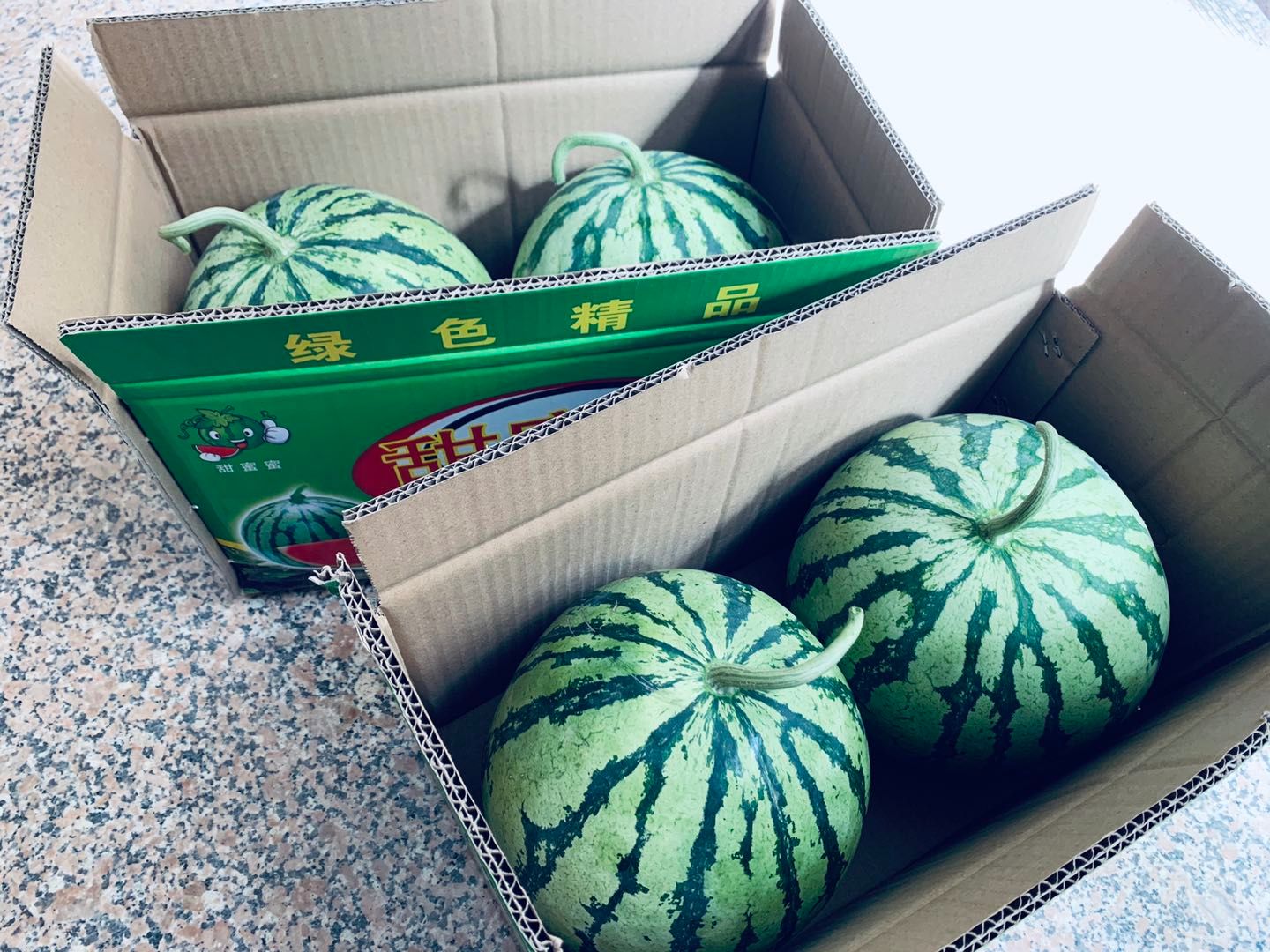 夏宝西瓜