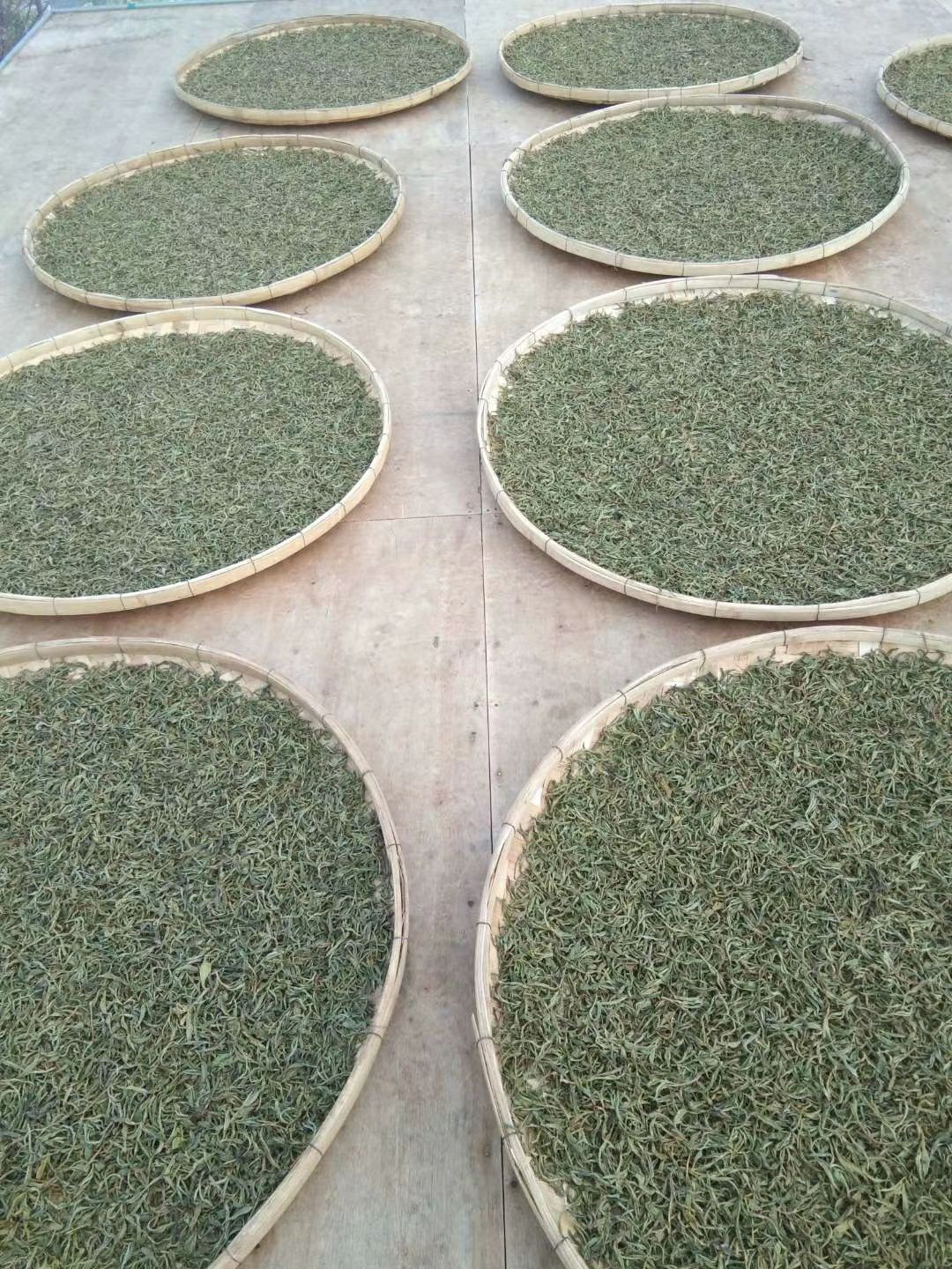 眉茶 勐海西定高山手工炒青茶,春茶一斤40元,夏茶20元
