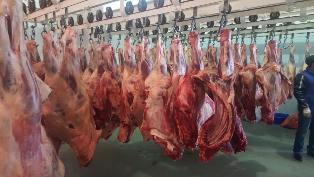 [牛肉类批发] 哈萨克斯坦牛肉24分体,各部位分开包装!