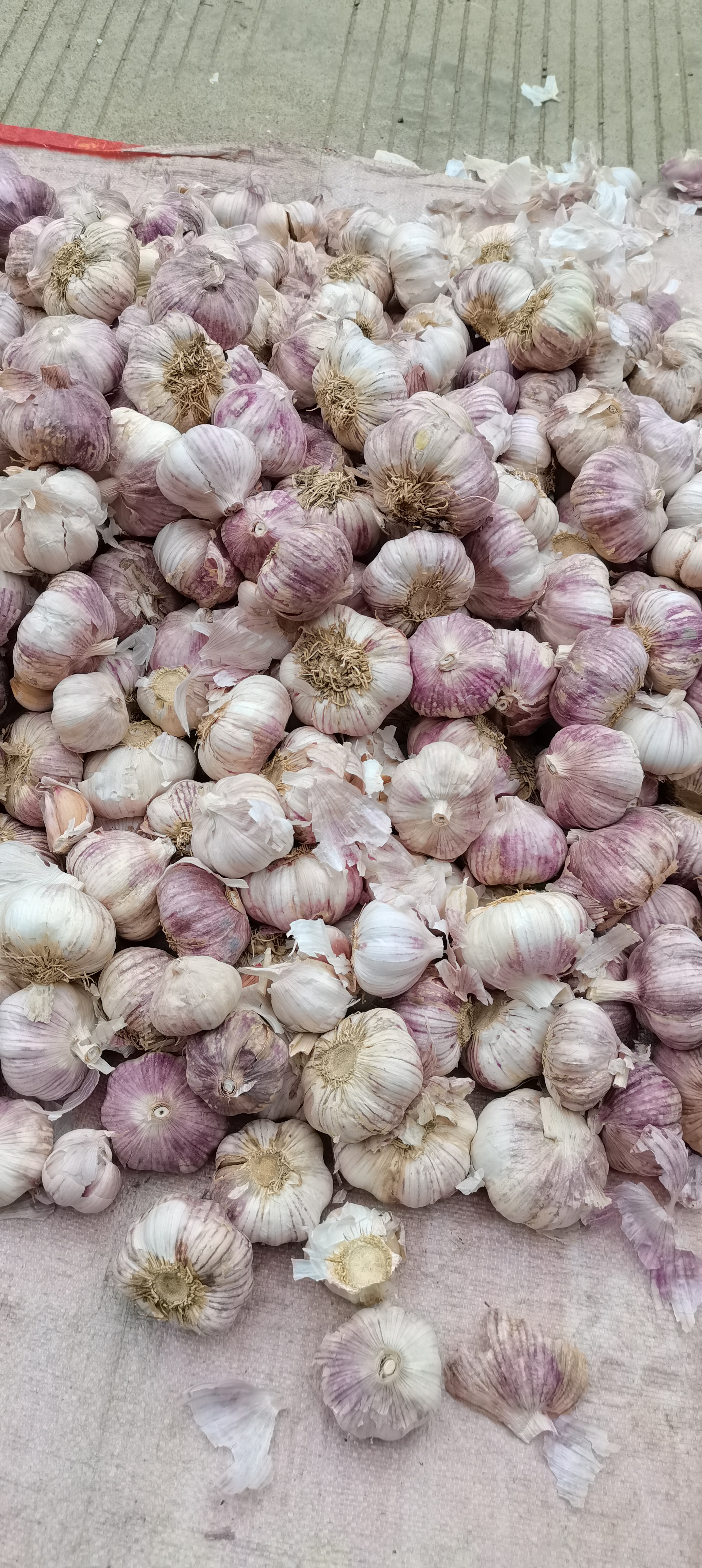 红皮蒜 2021年云南红蒜 干蒜 红米 紫皮大蒜 一件代发