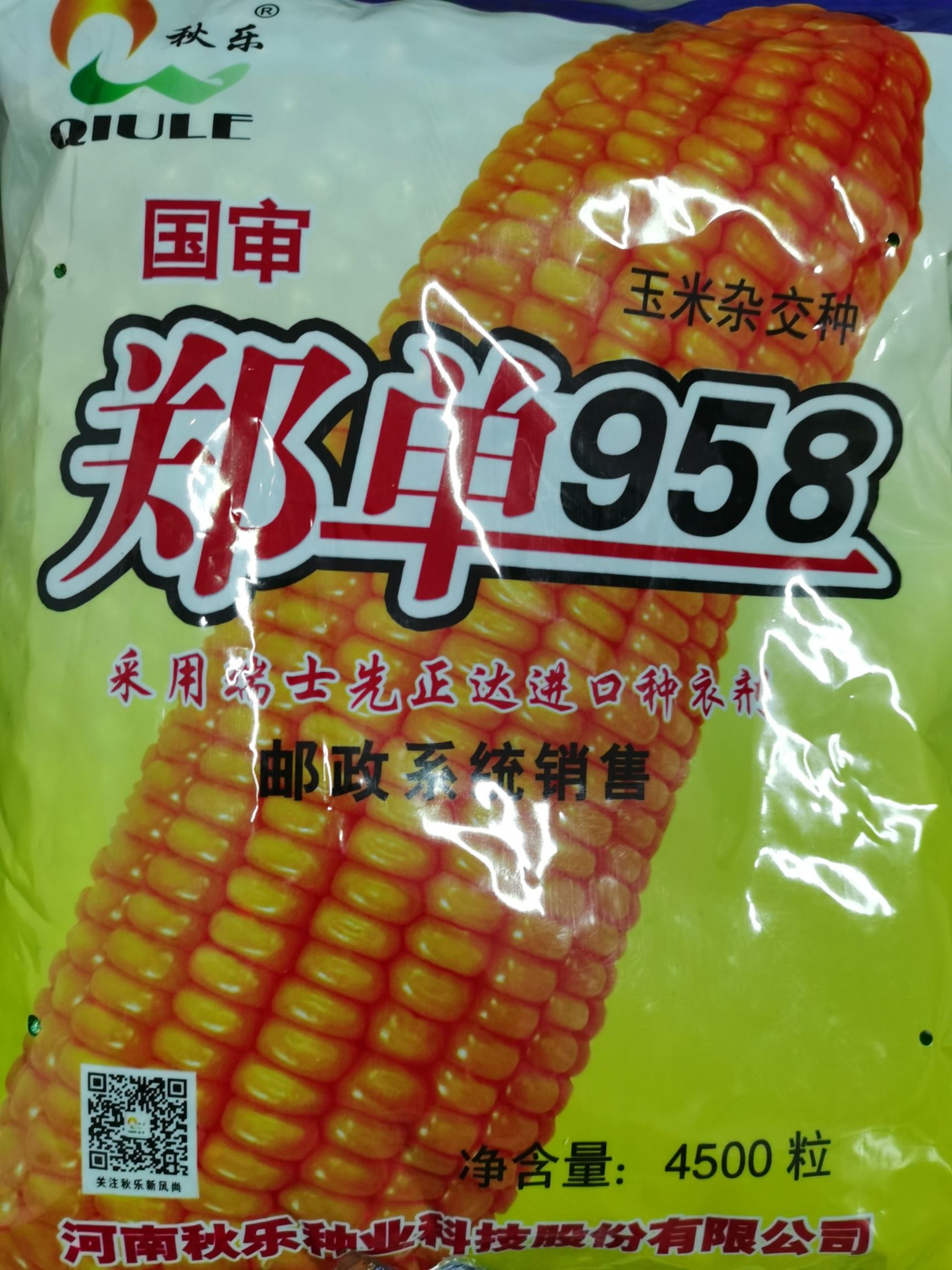 郑单958玉米种子 单交种 ≥90%