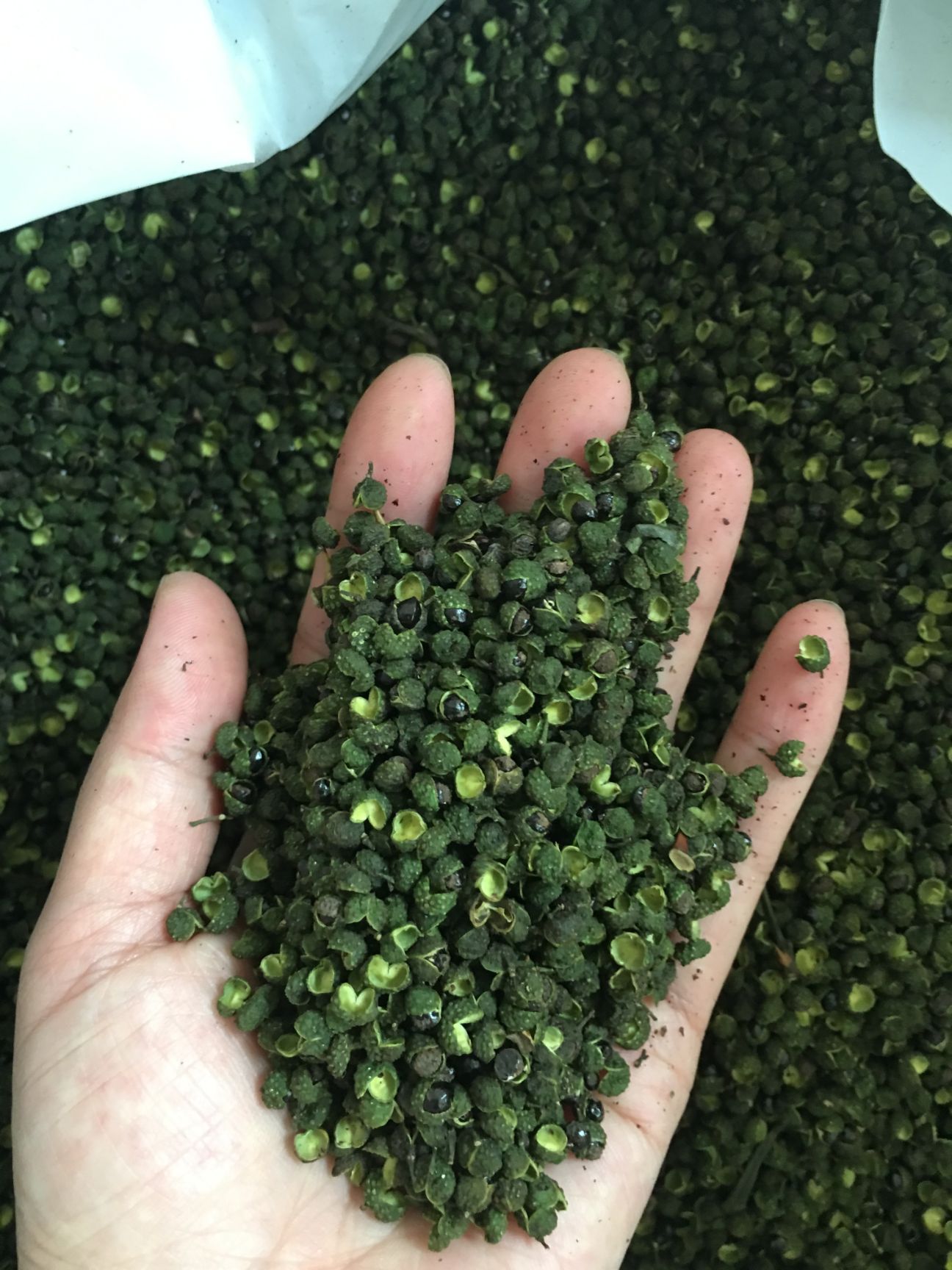 青花椒 干青花椒