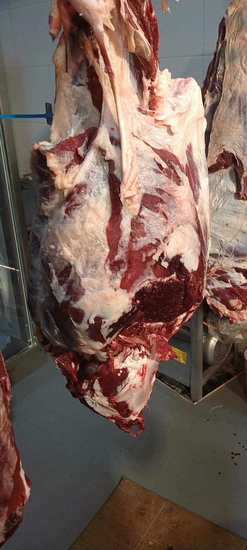 牛腿 精品黄公牛牛后腿肉,前腿肉,纯干新鲜无注水