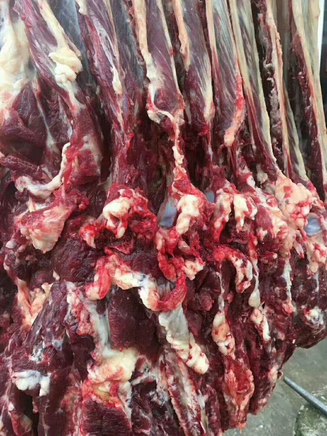 牛肉类 新鲜黄牛肉