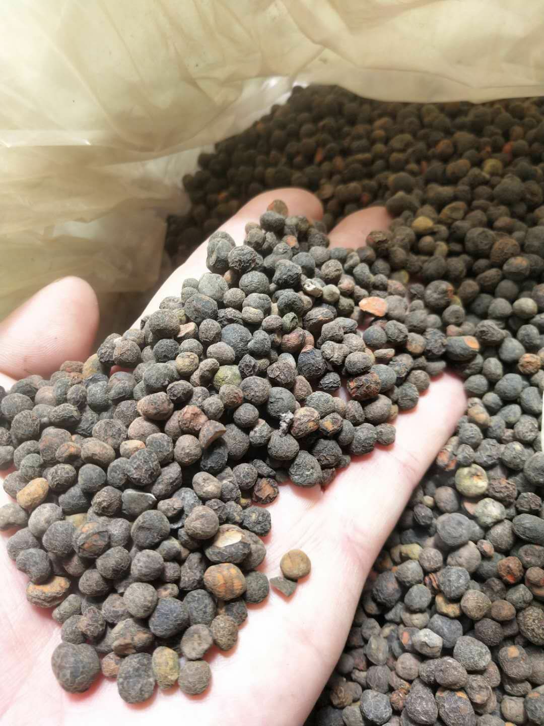 干货地下明珠