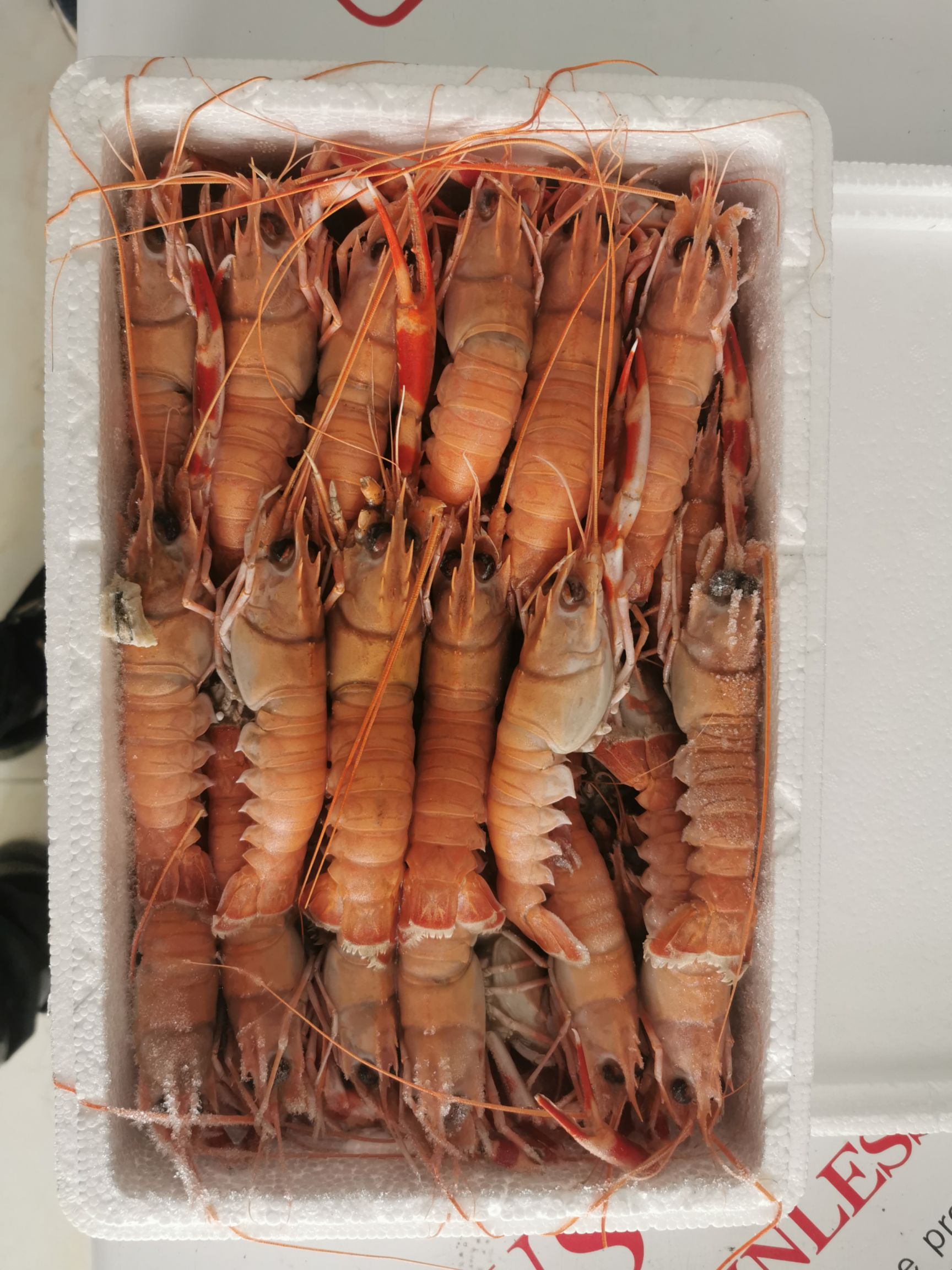 海里小龙虾 龙虾,深海鳌虾,毛重4斤到4.5斤一箱