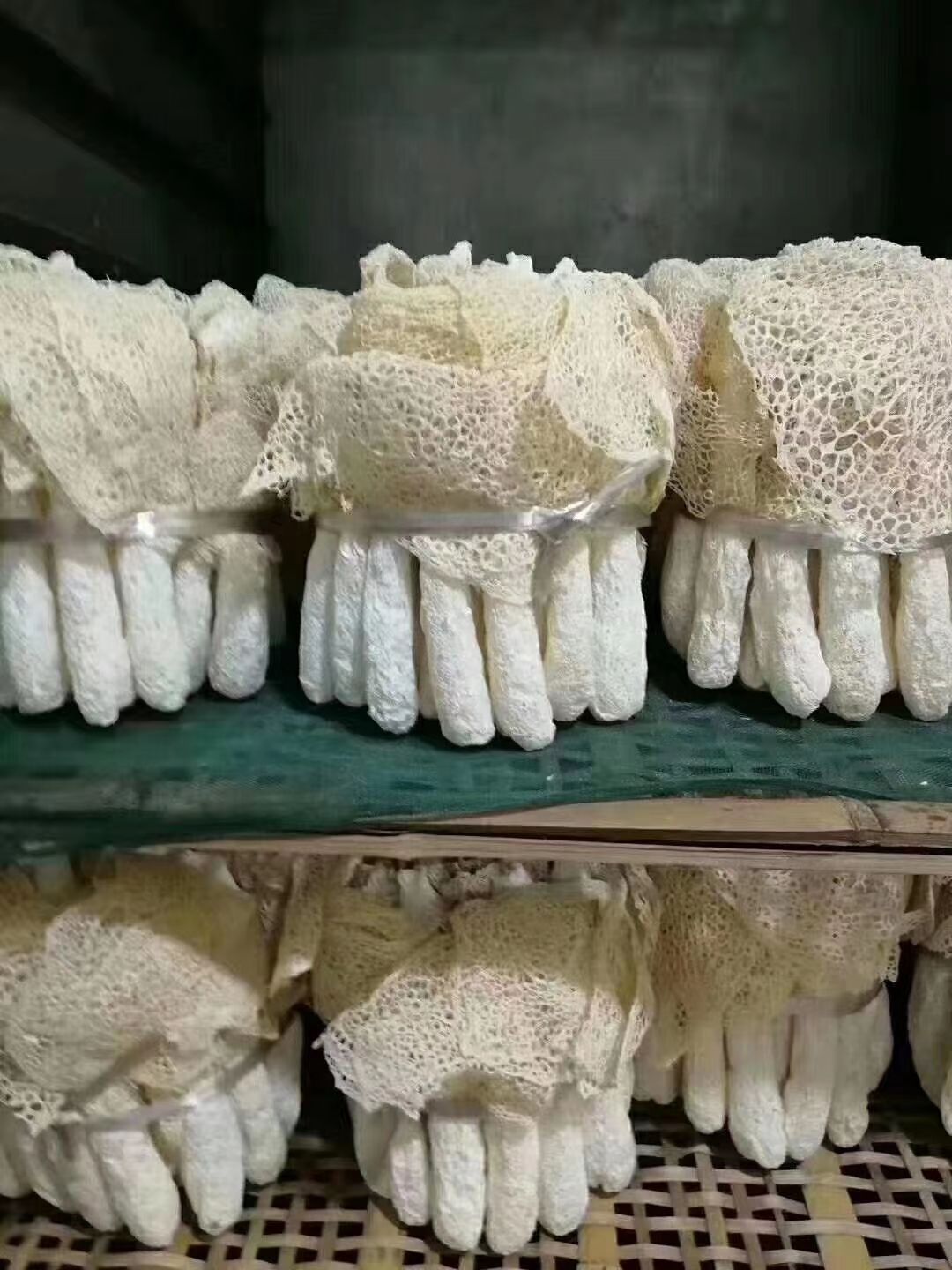 鲜竹荪 干竹荪