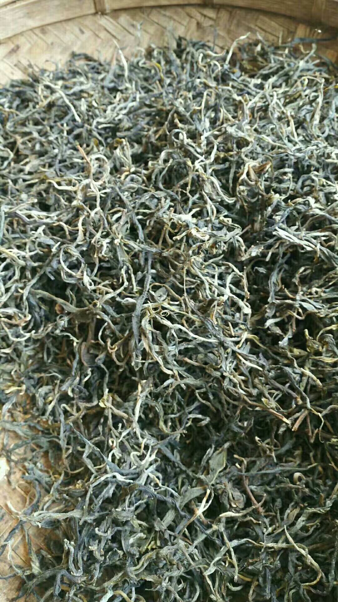 普洱生茶 凤庆县立达村古树茶