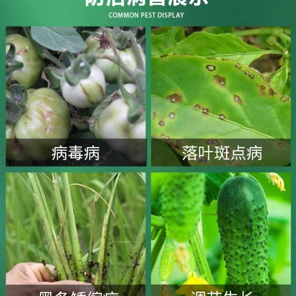 8%宁南霉素番茄烟草辣椒病毒病斑点落叶病水稻黑条矮缩病农药