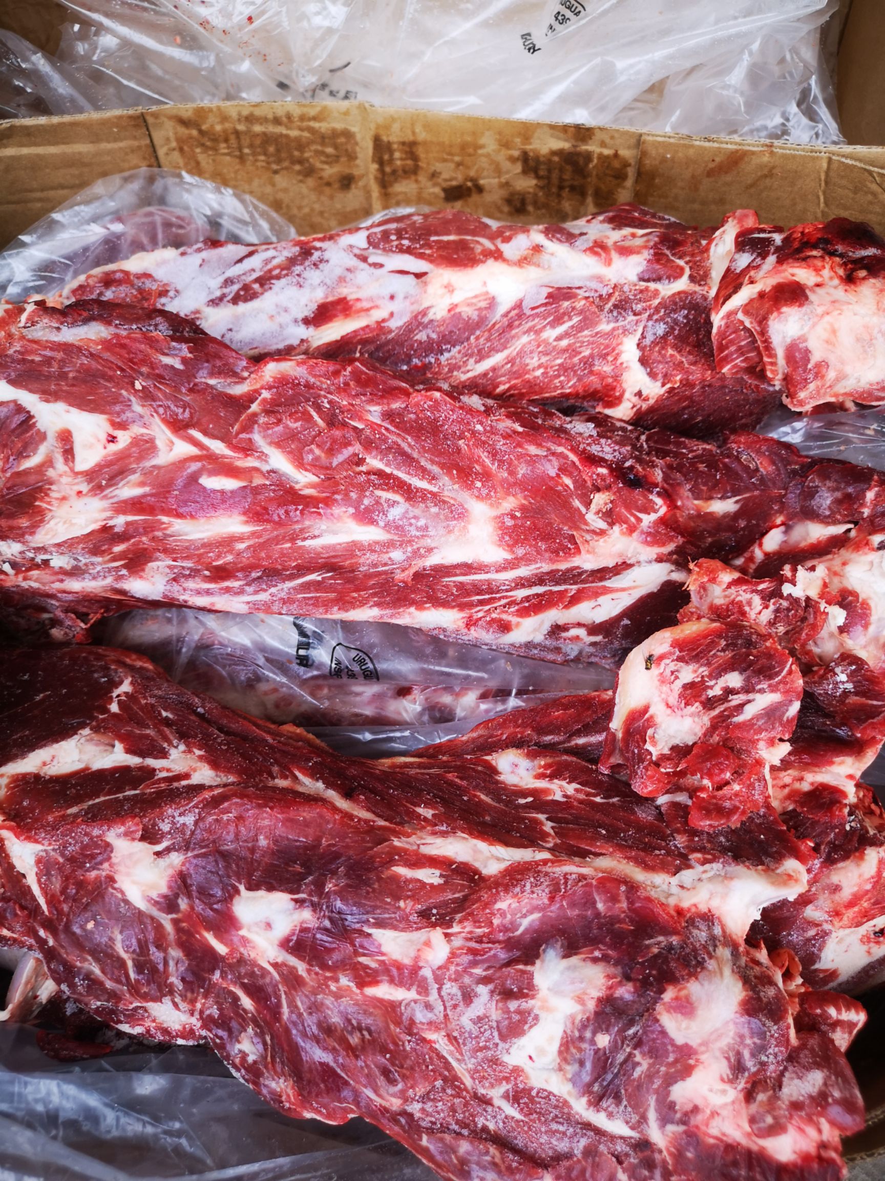 牛肉 牛副产品,牛脊骨,牛胫骨,牛脖骨,牛排,牛肋排大量批发