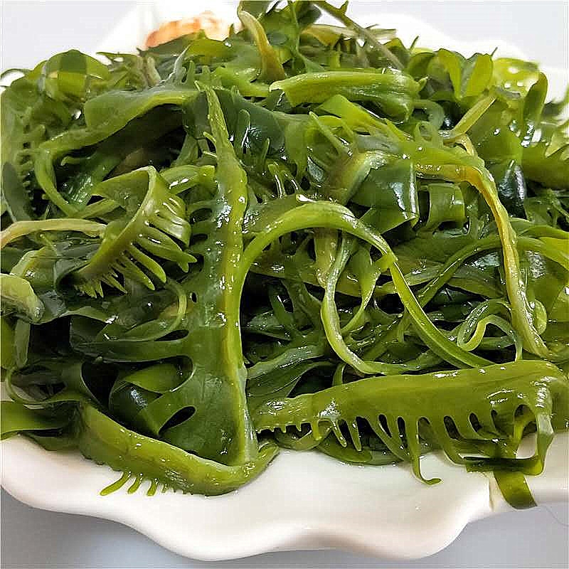 20斤特级海芽菜裙带菜嫩芽睫毛菜眉芽菜火锅芽盐渍海带苗