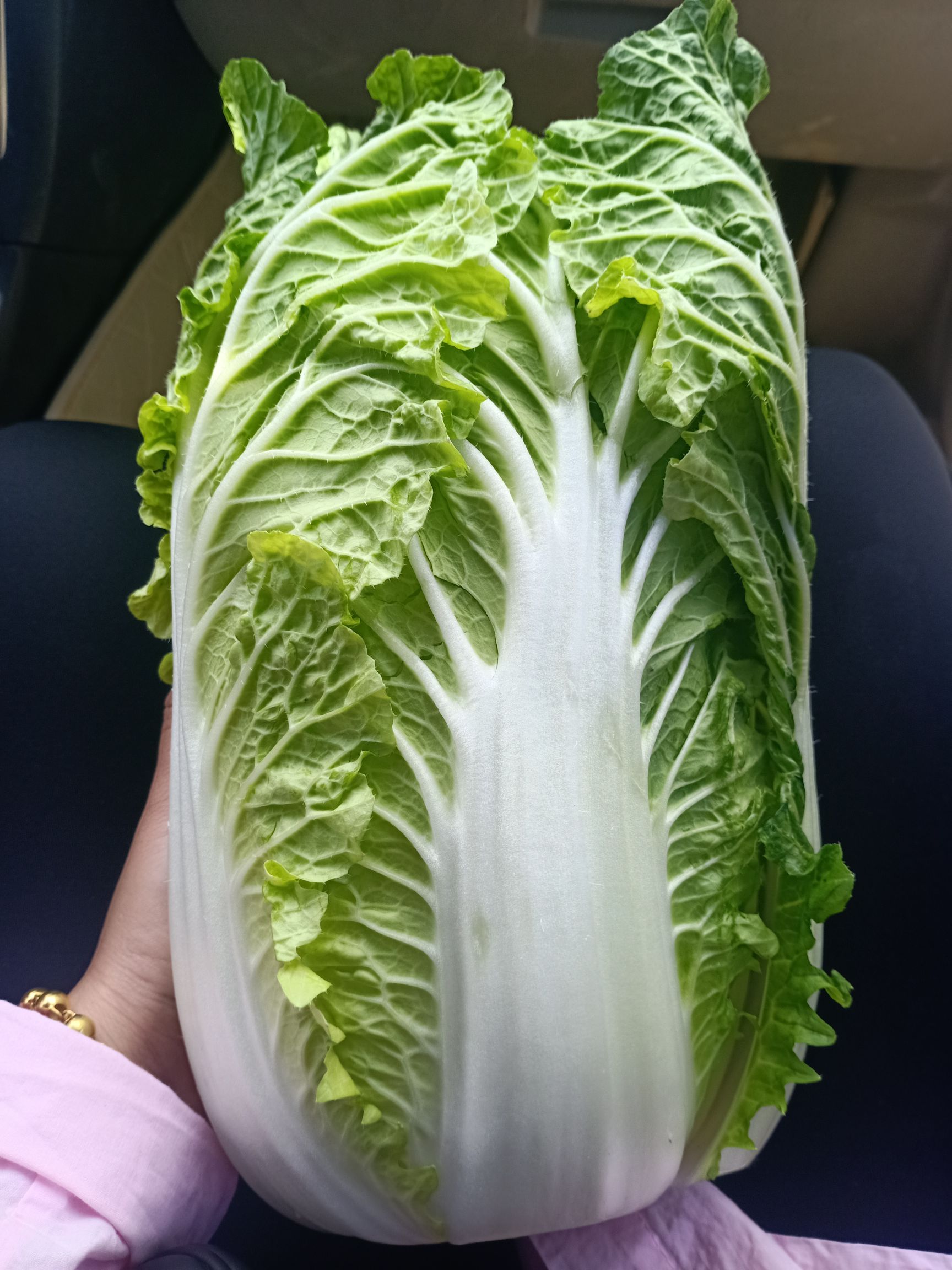 黄心白菜,玲珑黄