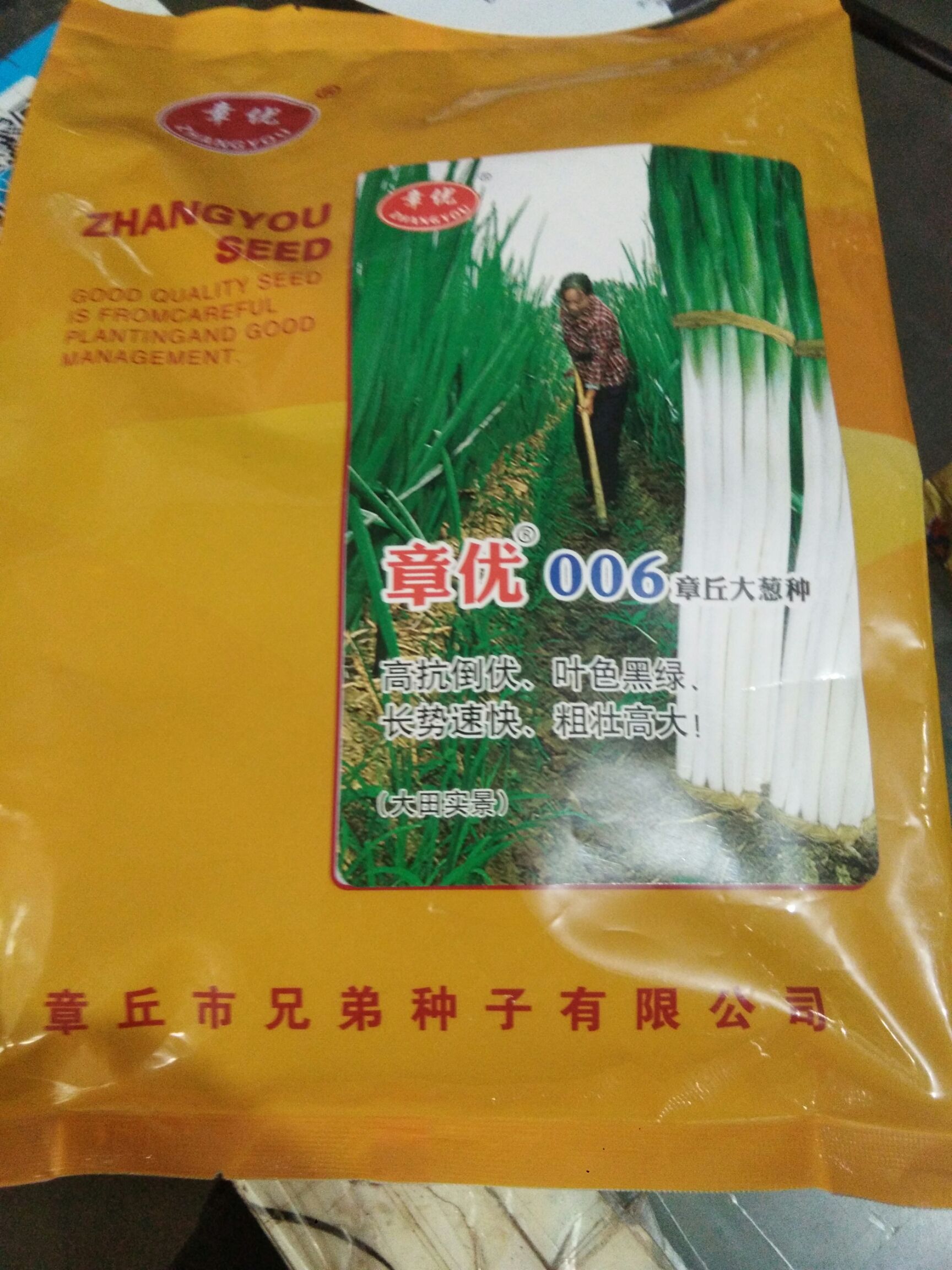 章丘大葱种子 章优006章丘大葱种