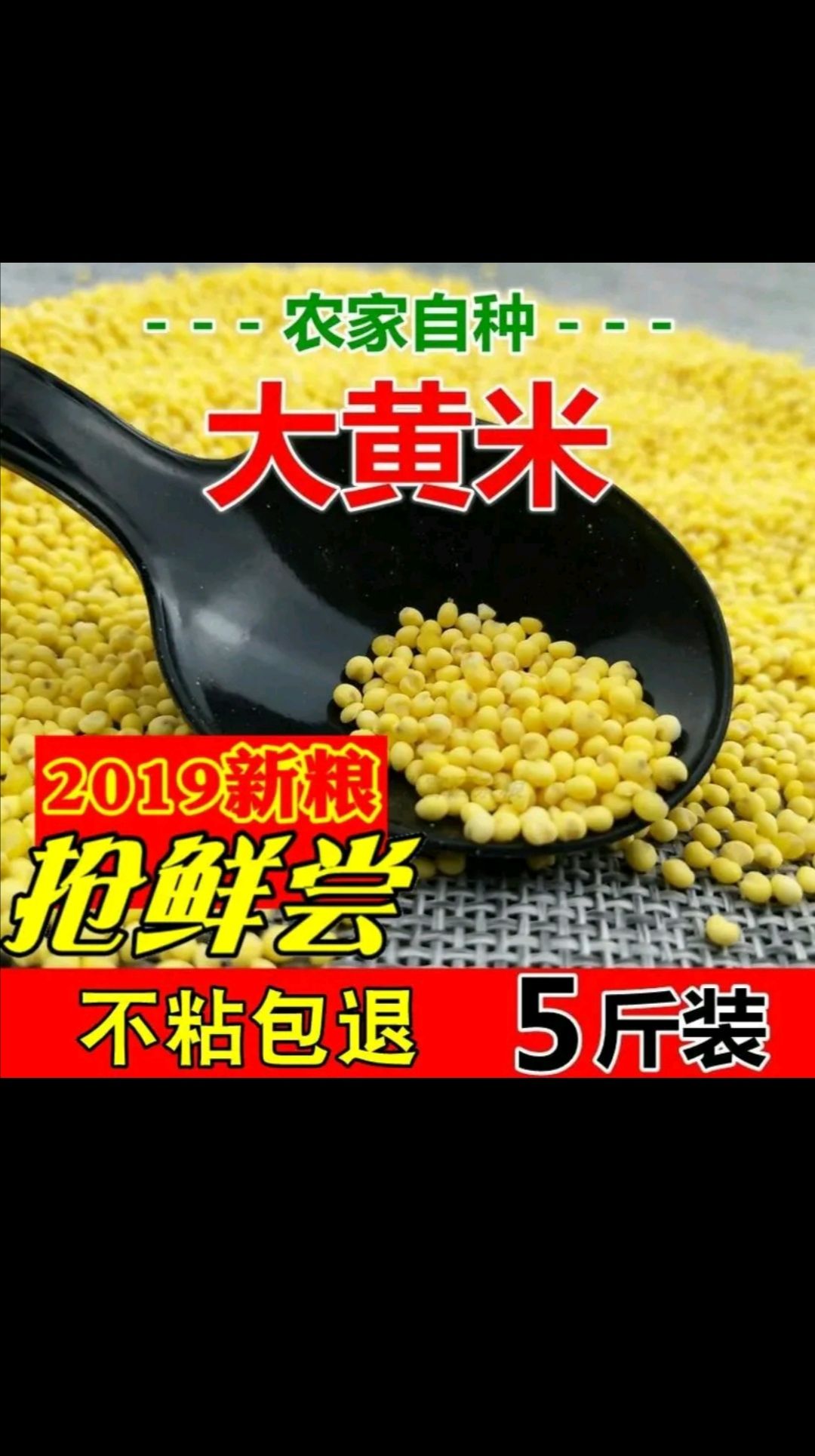 2021年蔚县特产特黏大黄米包邮自产自销