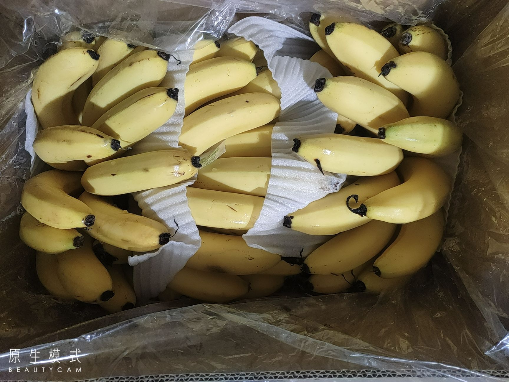 香蕉纯三把好蕉果面干净口感纯正