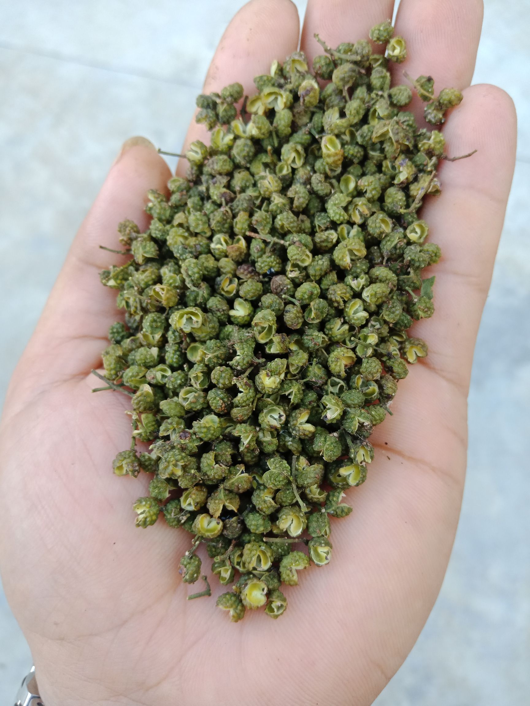 湖南岳阳青花椒 金阳花椒 干花椒 95以上开口