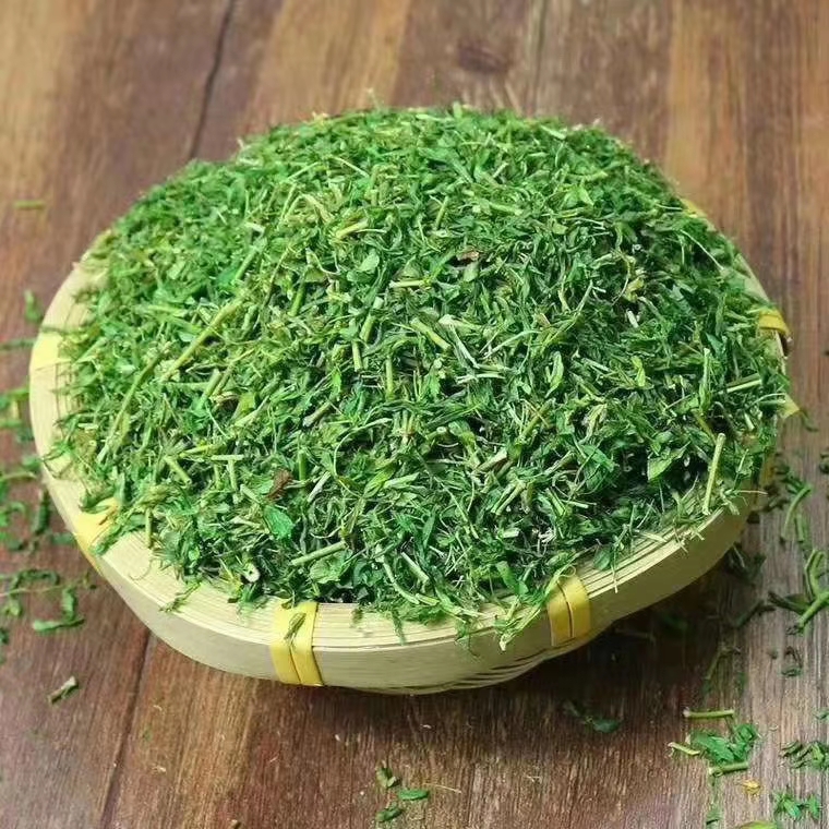 相思藤叶 熬夜必备 护肝茶 相思藤茶
