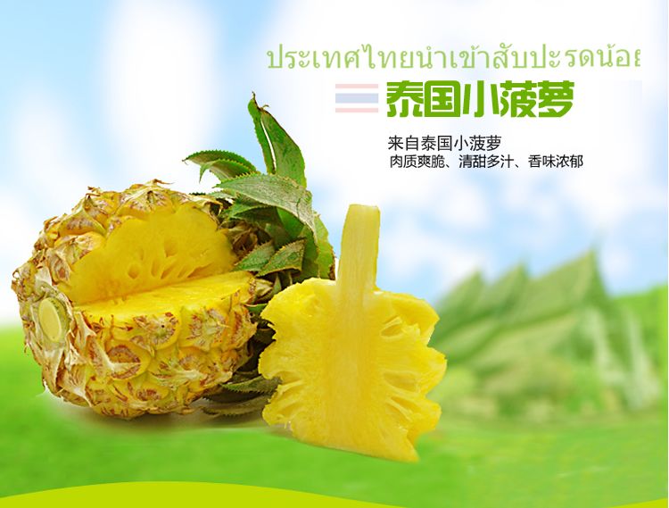 上林县泰国小菠萝 泰国迷你小菠萝香水菠萝香脆甜菠萝小凤梨普吉岛