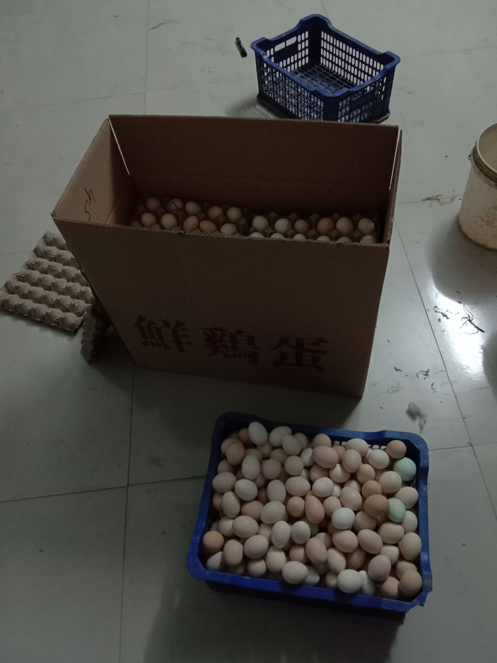 [土鸡蛋批发]土鸡蛋 食用 箱装 价格10元/斤 - 惠农网