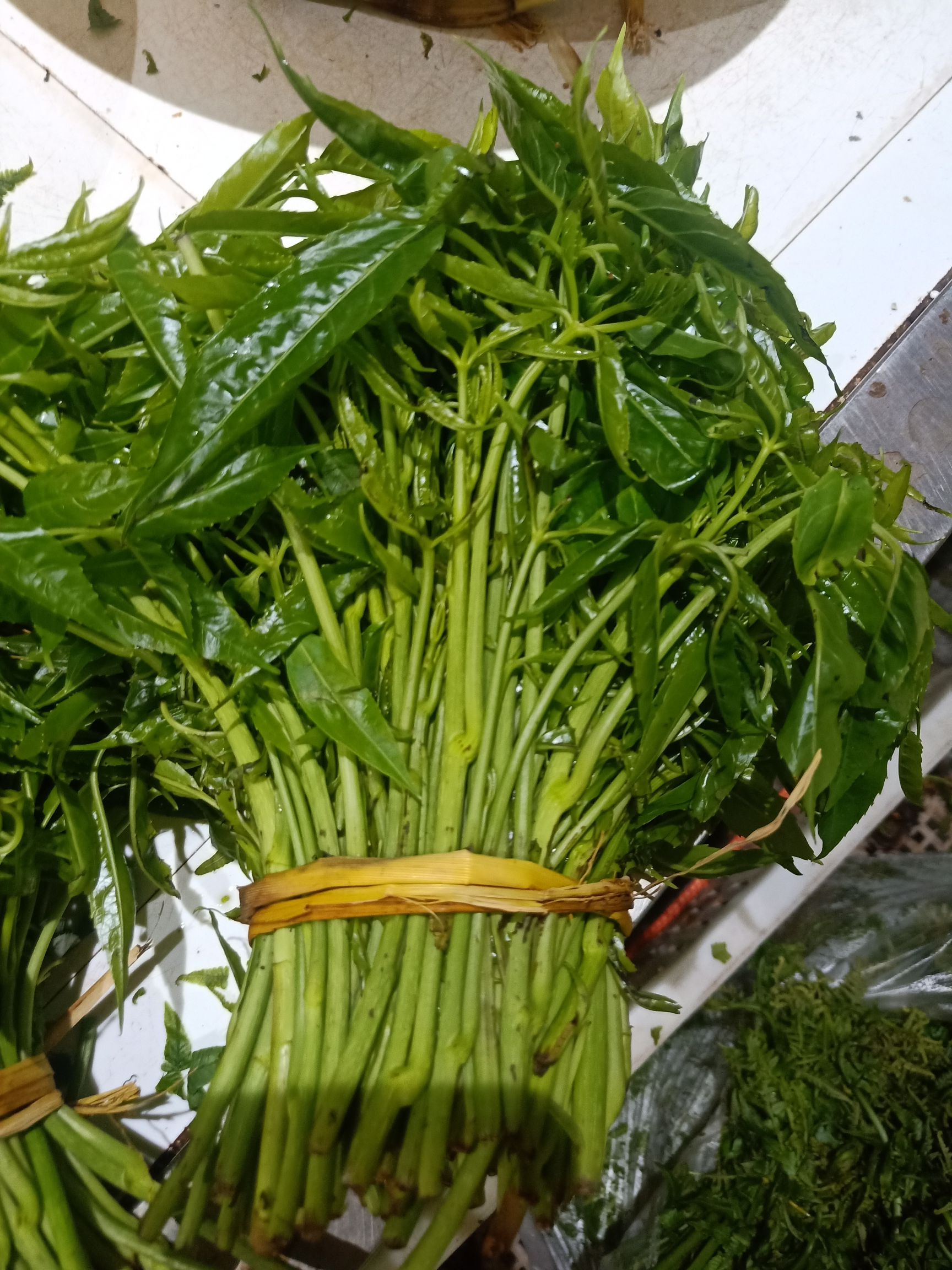 云南思茅山野菜 云南普洱特产火镰菜_鲜货